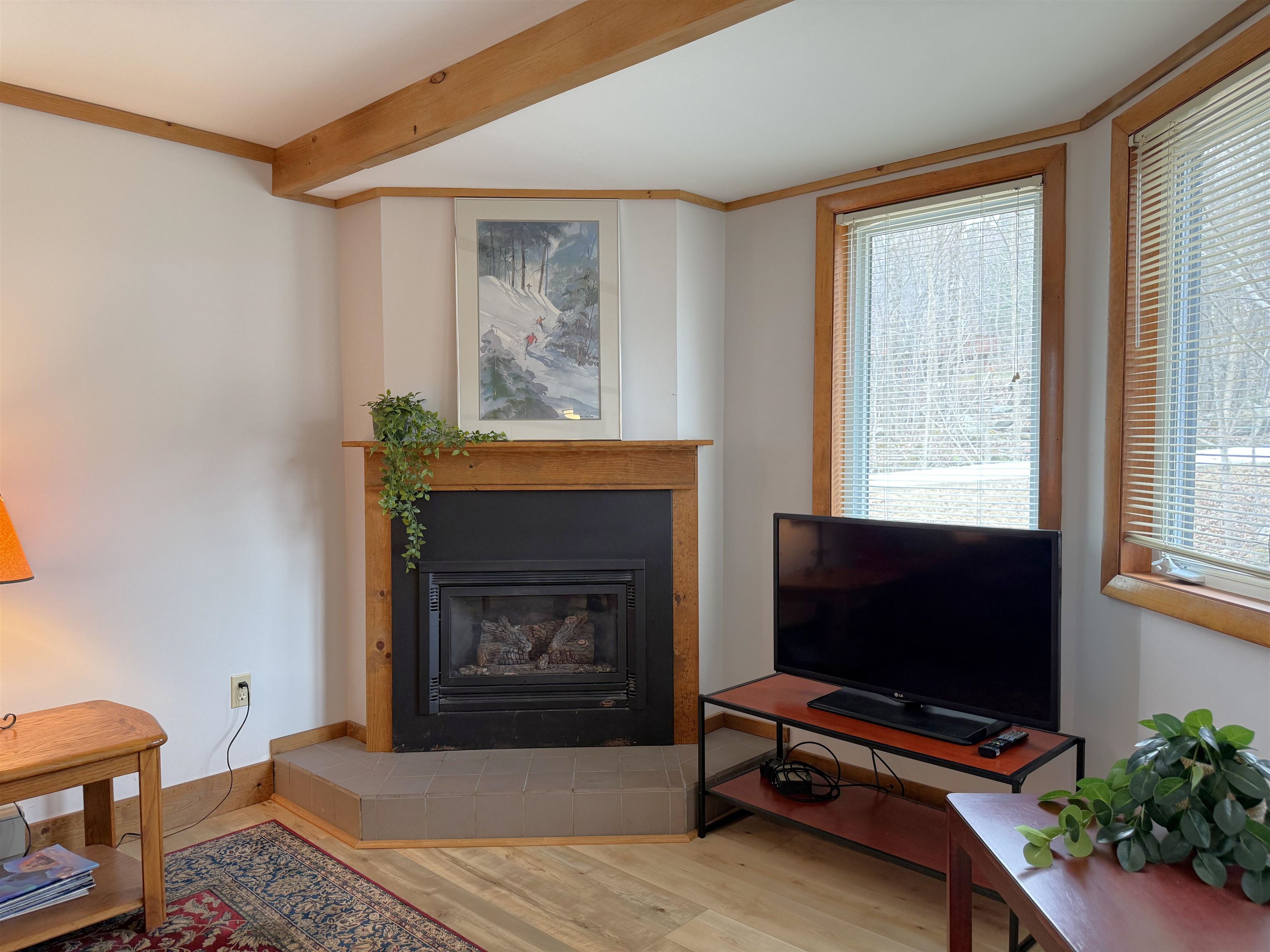 334 Slopeside Road Property Photo 13