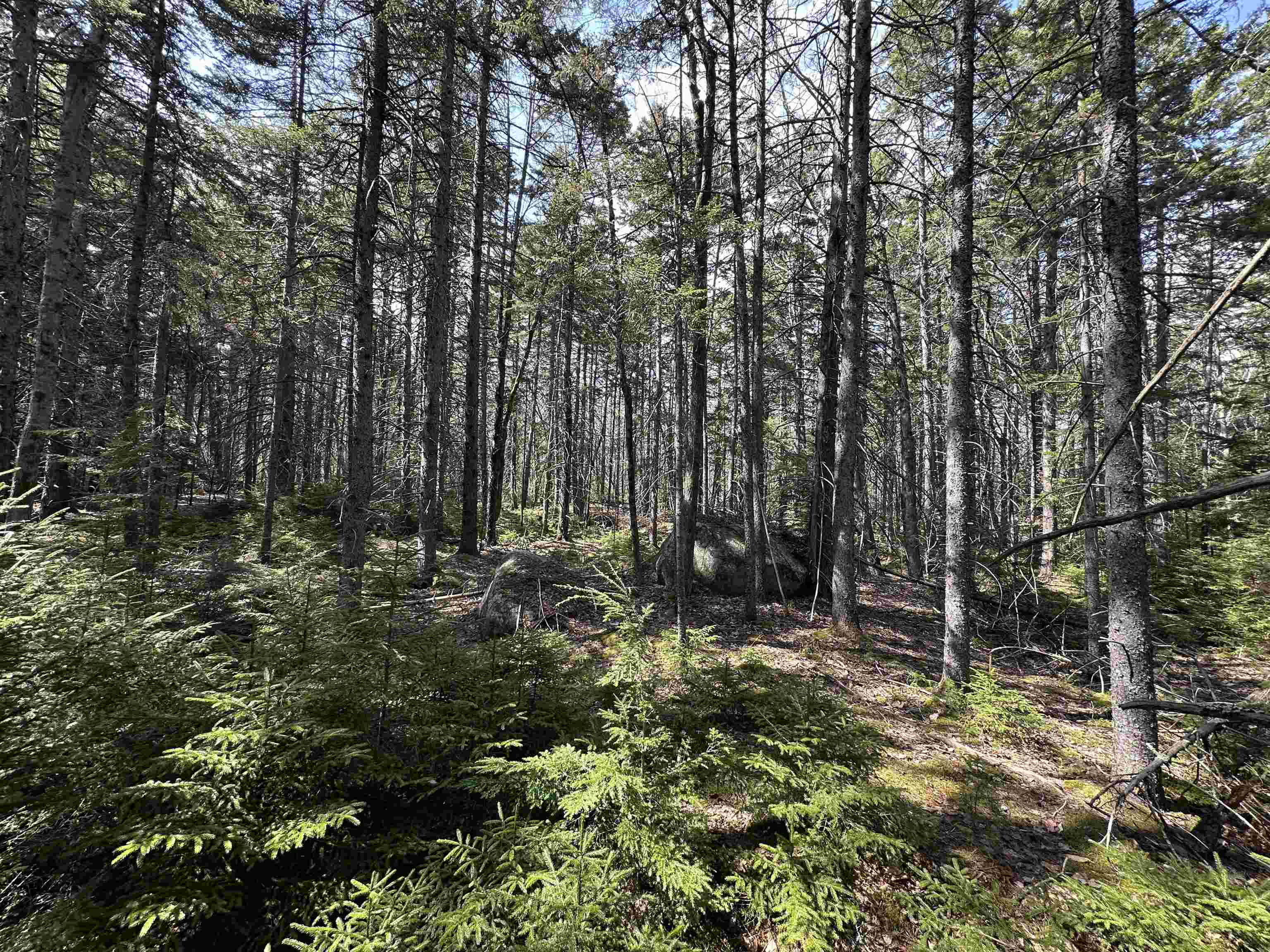 Lot 6 Sargent Road Property Photo 8
