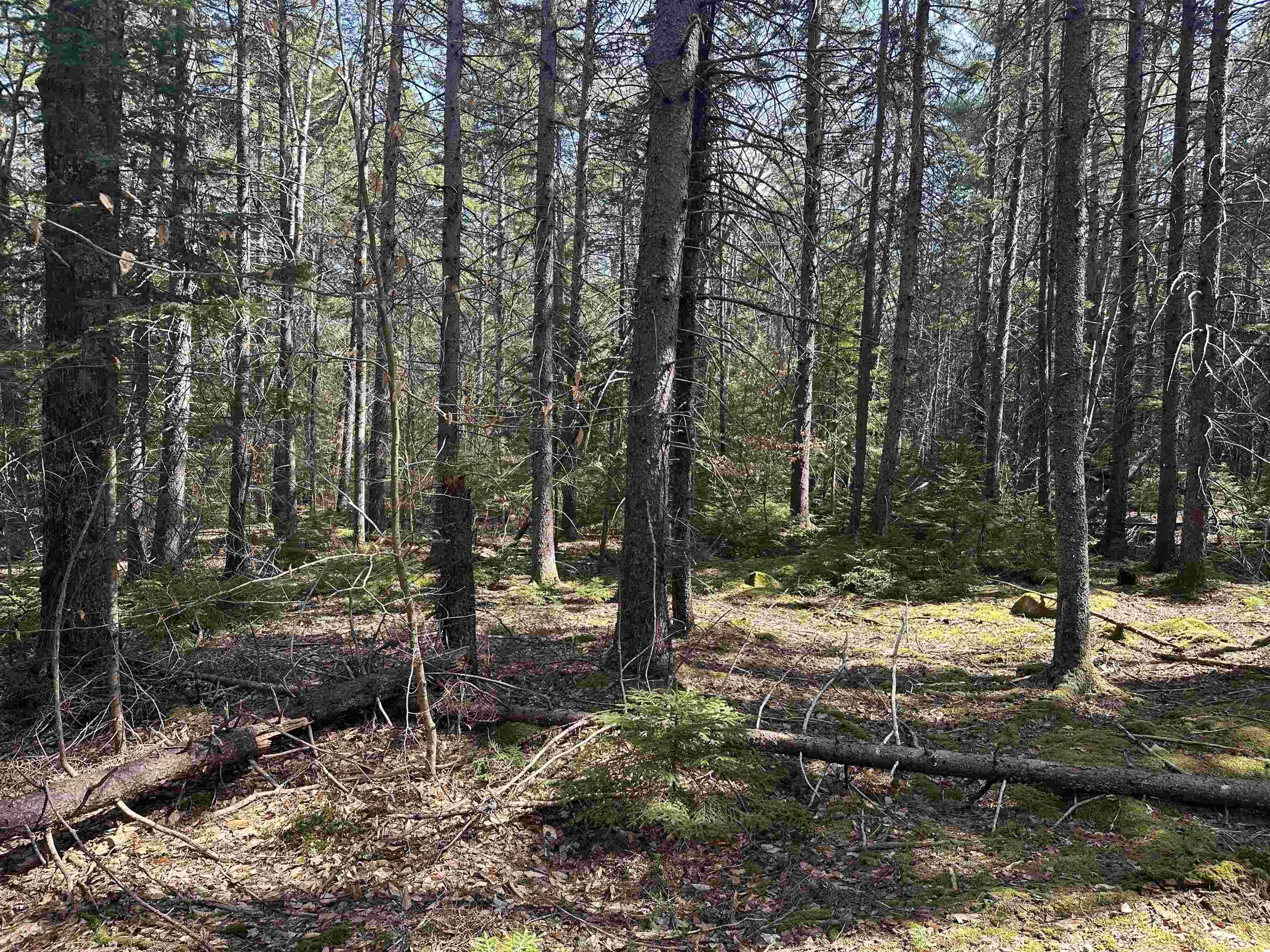 Lot 6 Sargent Road Property Photo 12