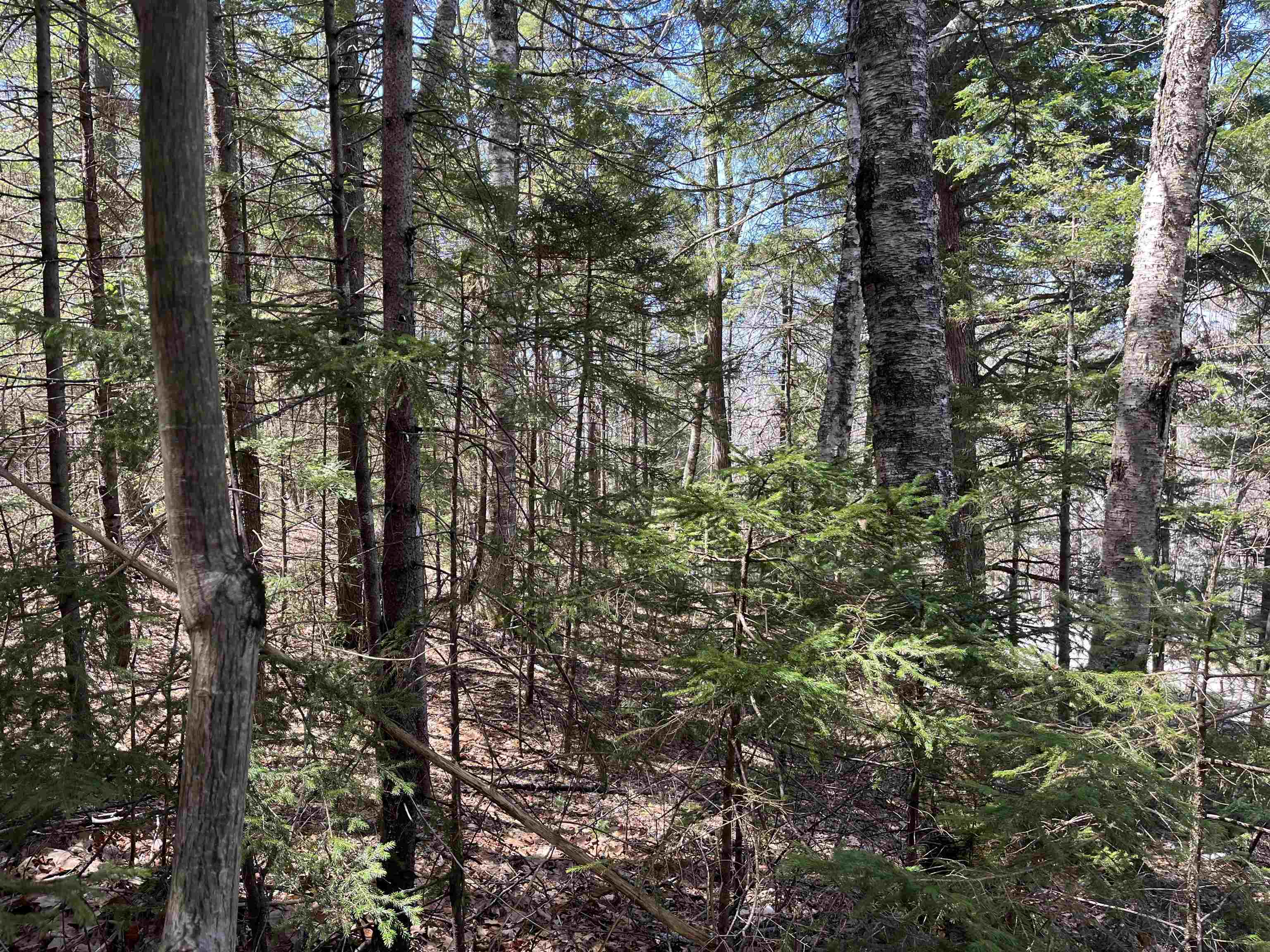 5-16-19 Boulder Drive Property Photo 3