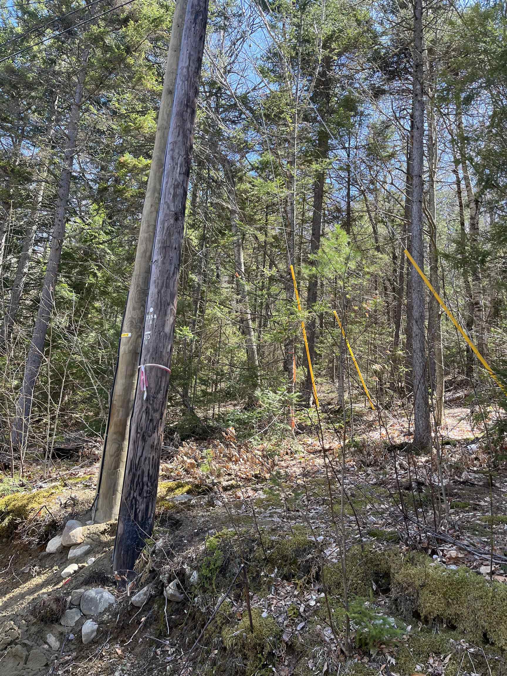 5-16-19 Boulder Drive Property Photo 4