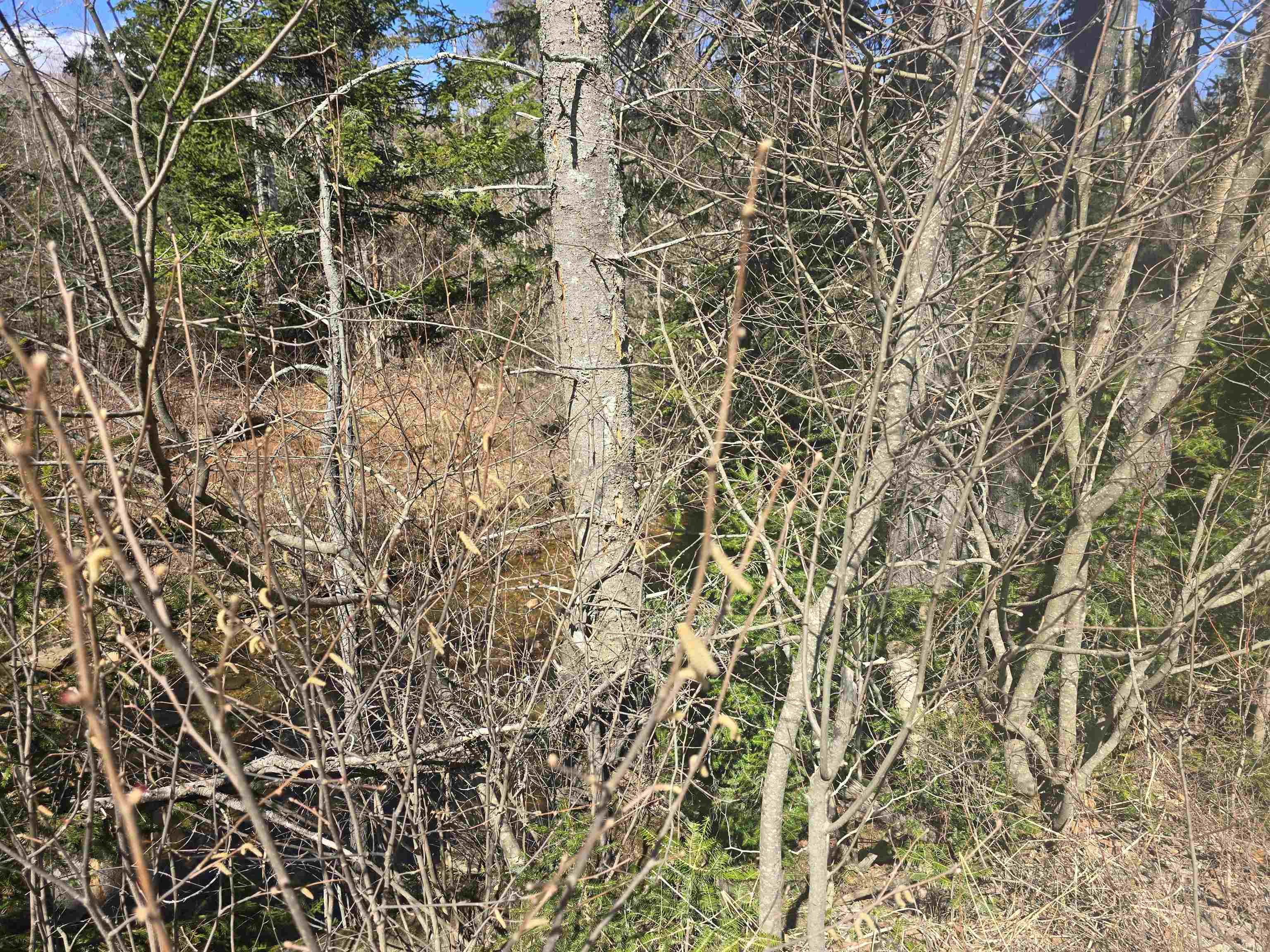 00 Valley Road Property Photo 6