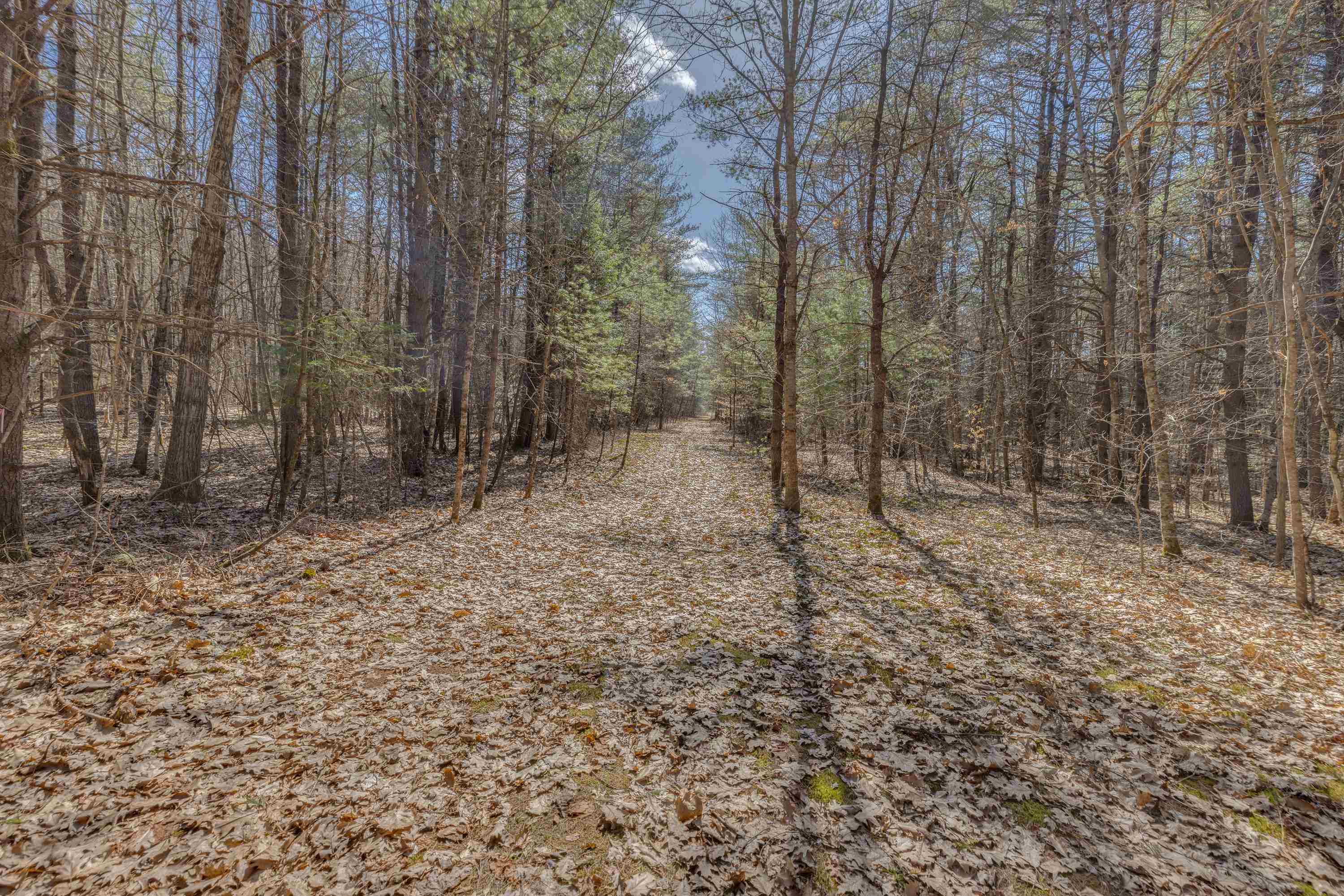 1502 River Road Property Photo 5