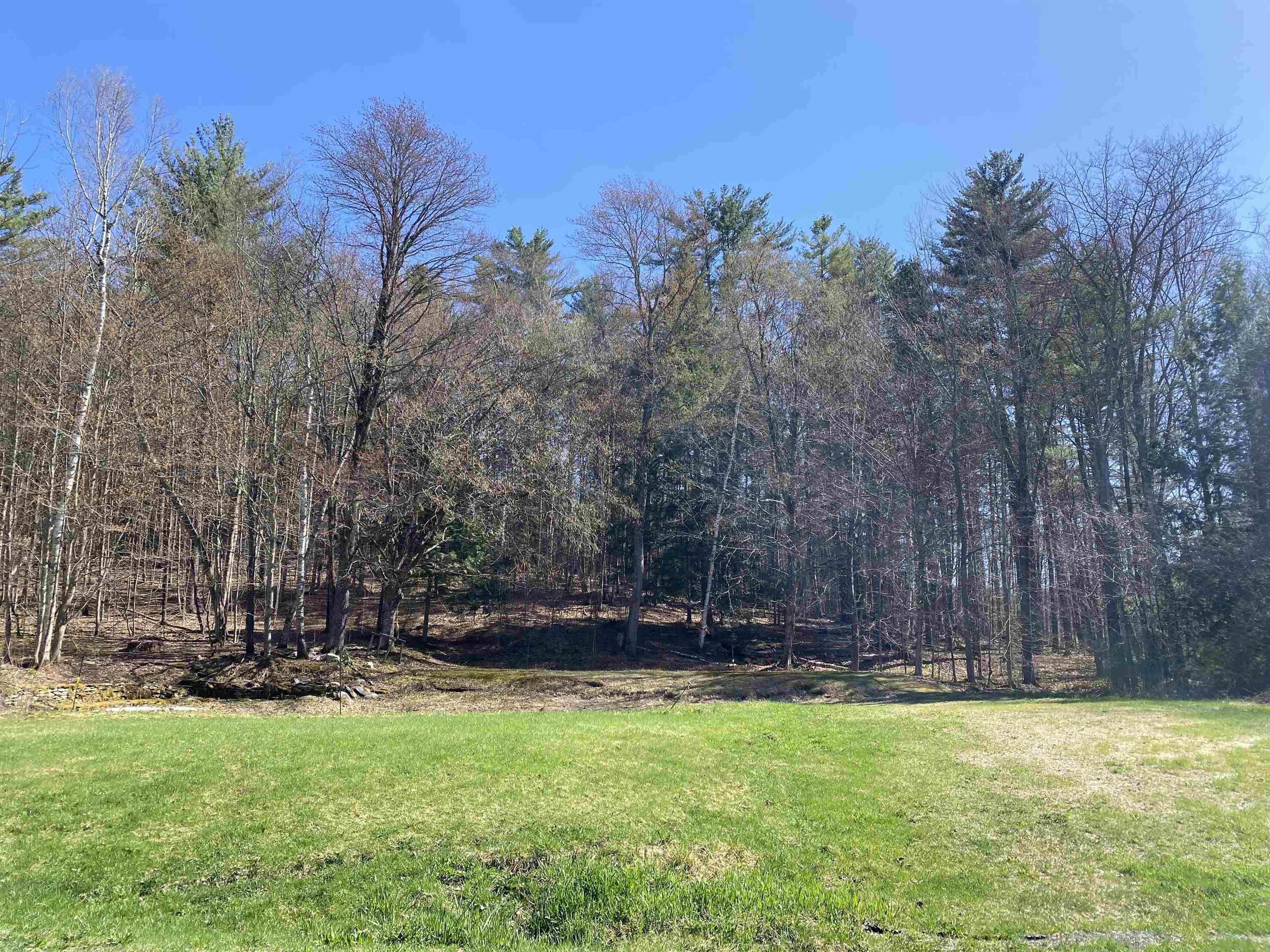 276 Dutton District Road Property Photo 1