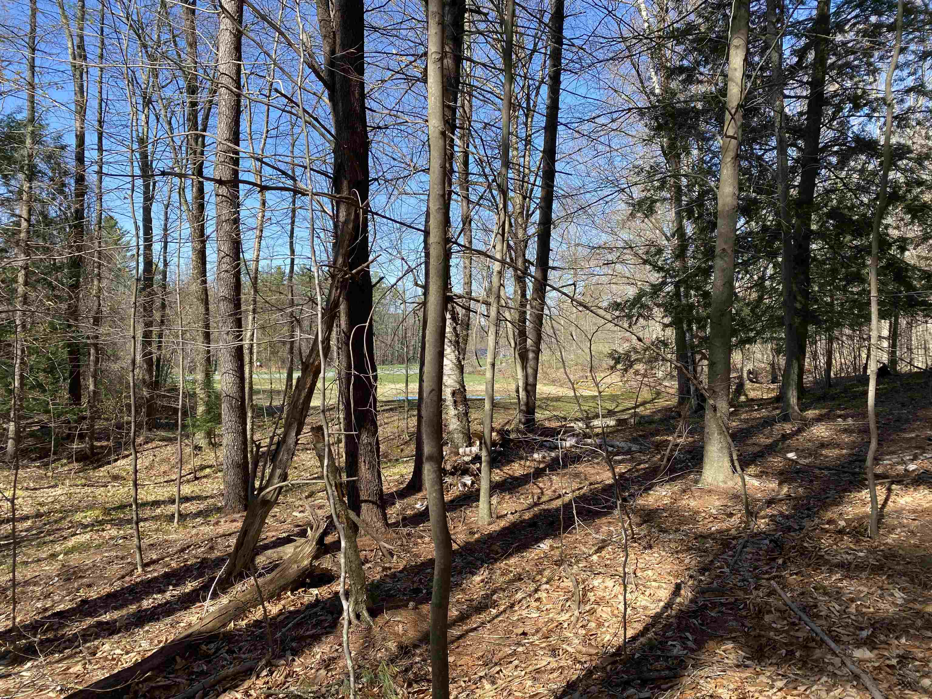 276 Dutton District Road Property Photo 6