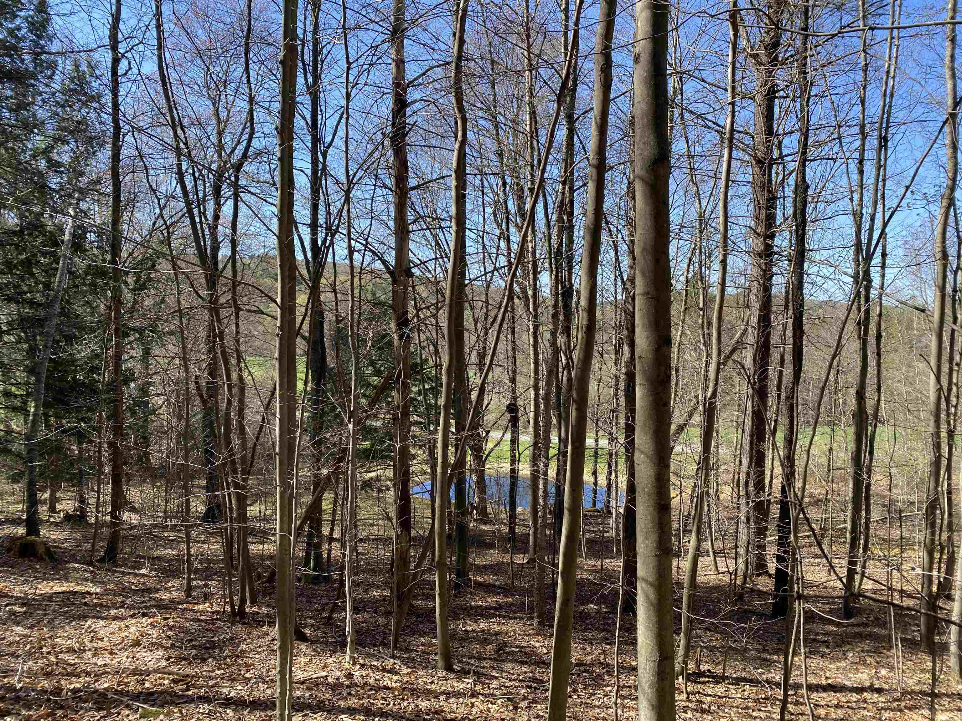 276 Dutton District Road Property Photo 7