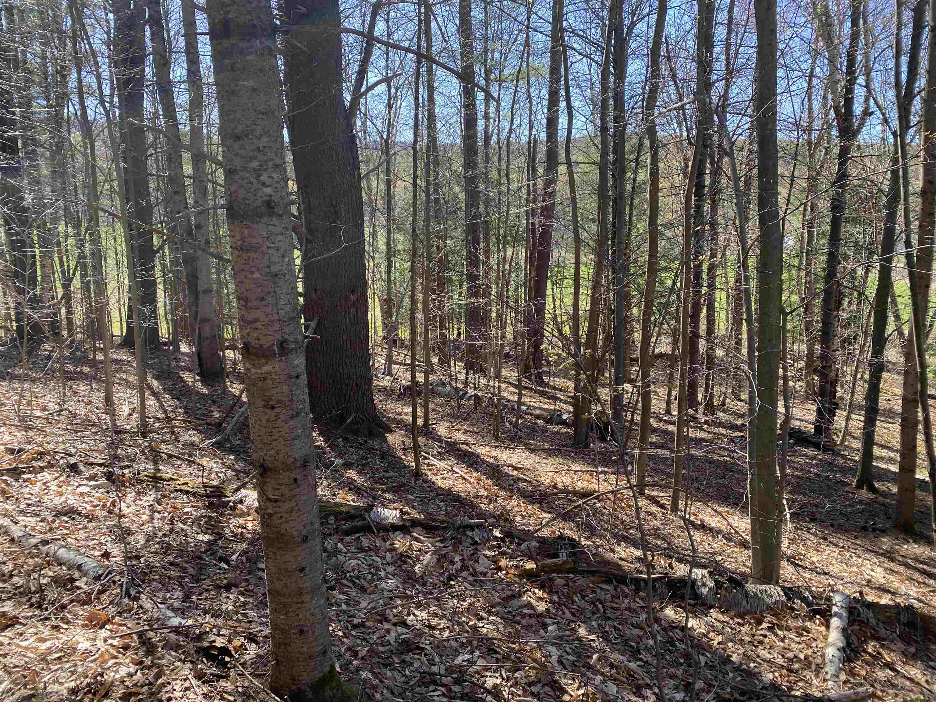 276 Dutton District Road Property Photo 8