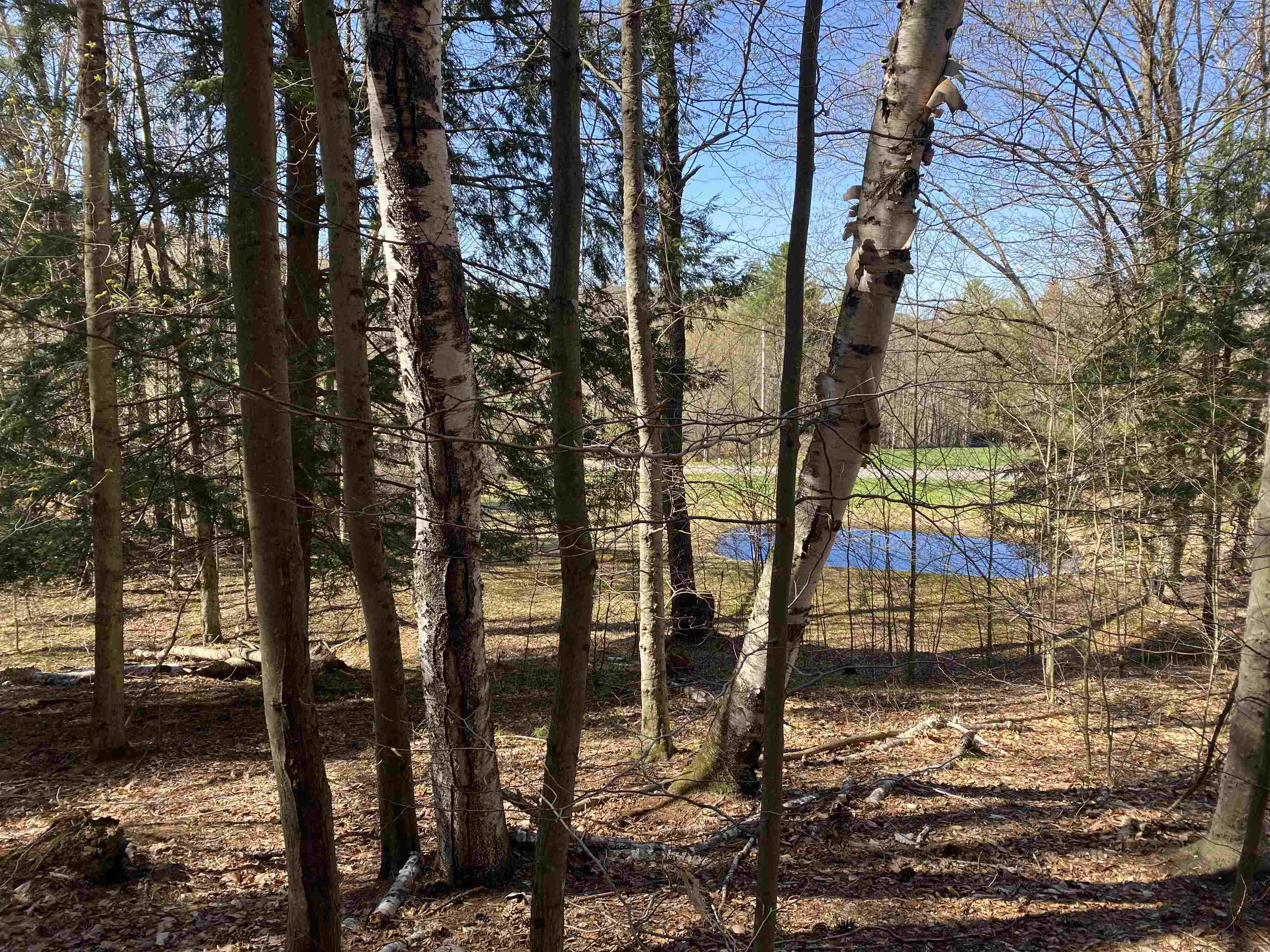 276 Dutton District Road Property Photo 10