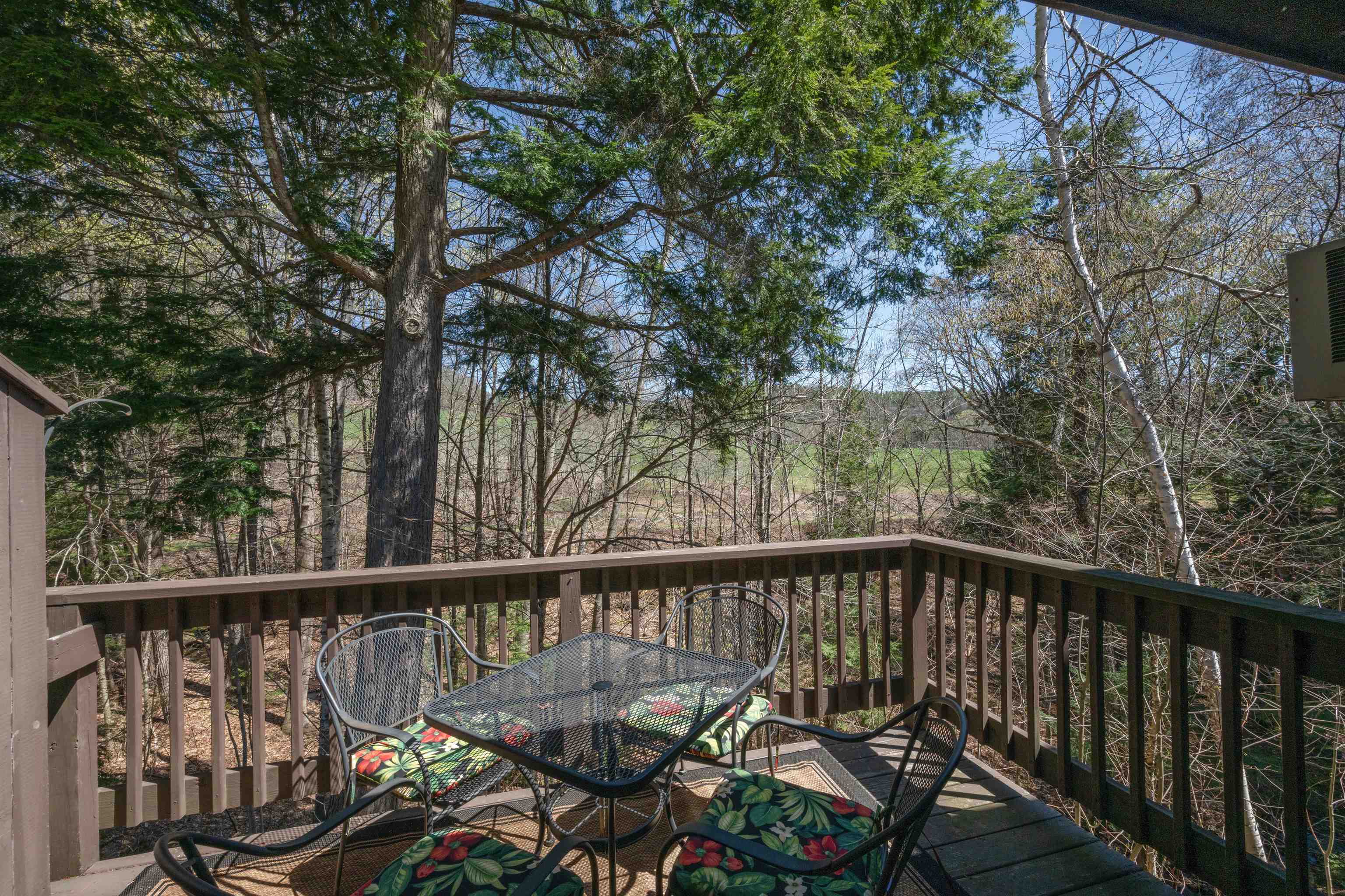 383 Old Quechee Road Property Photo 29