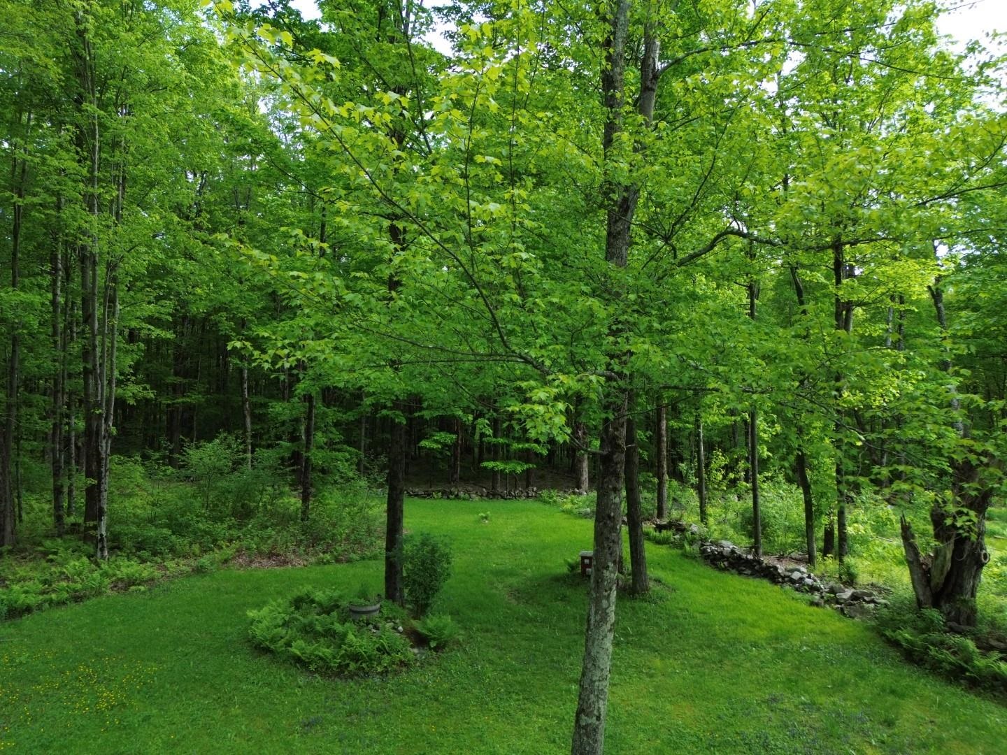 195 Bull Run Road Property Photo 3