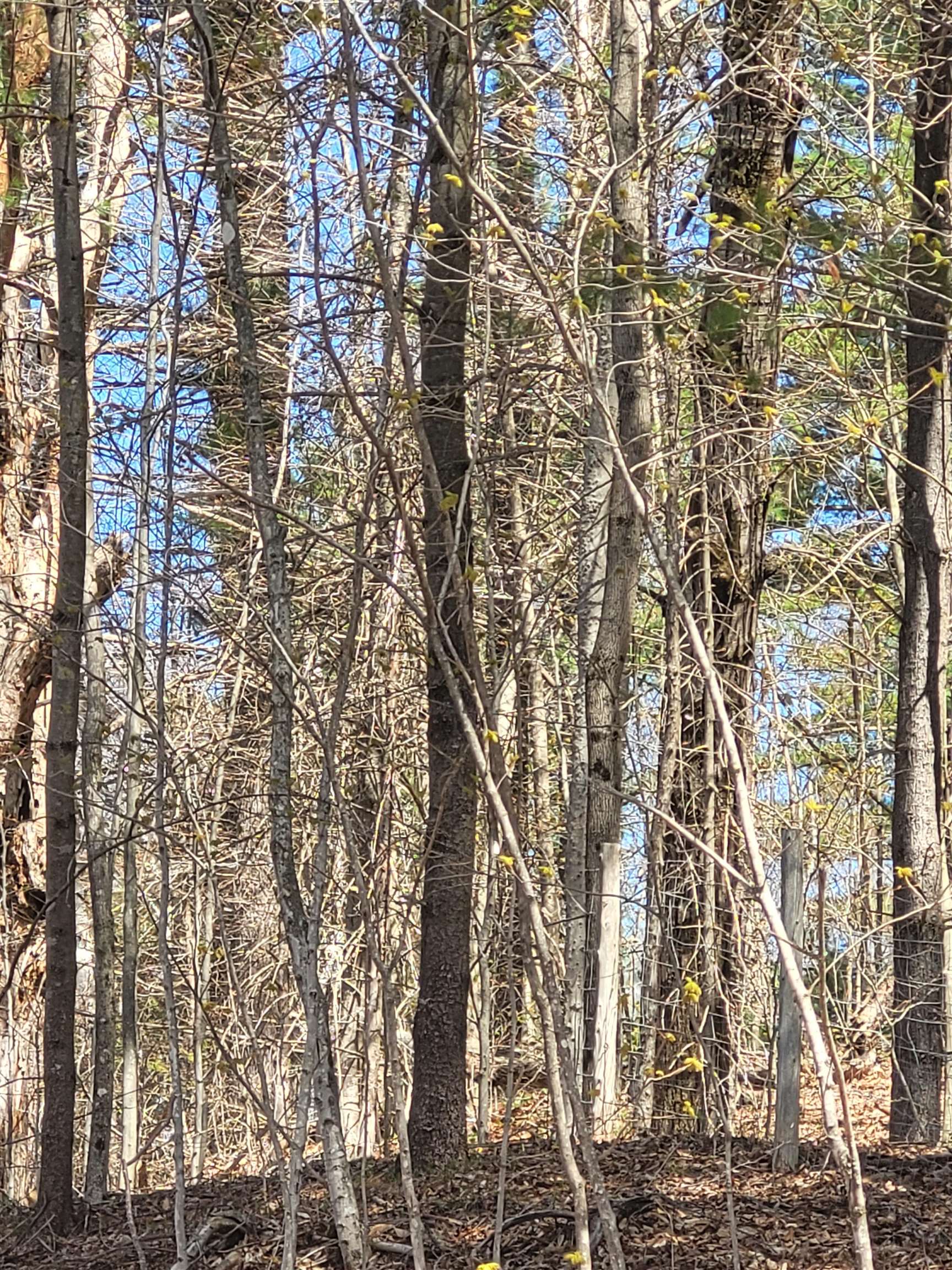 921 Coppermine Road Property Photo 1
