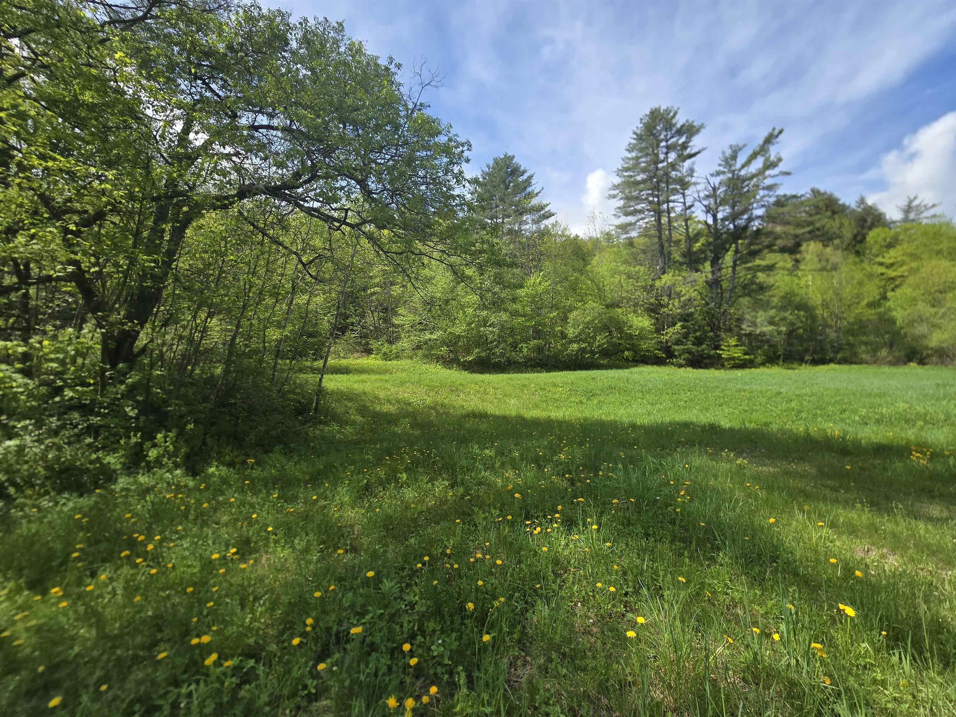 563 Simonsville Road Property Photo 1