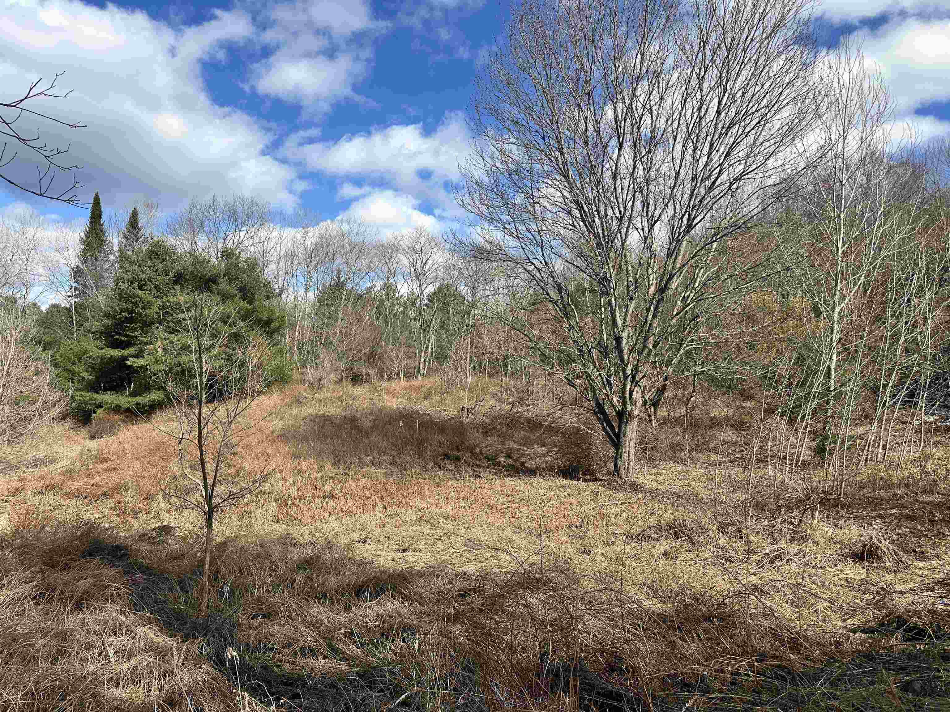 000 Hodge Hill Road Property Photo 3