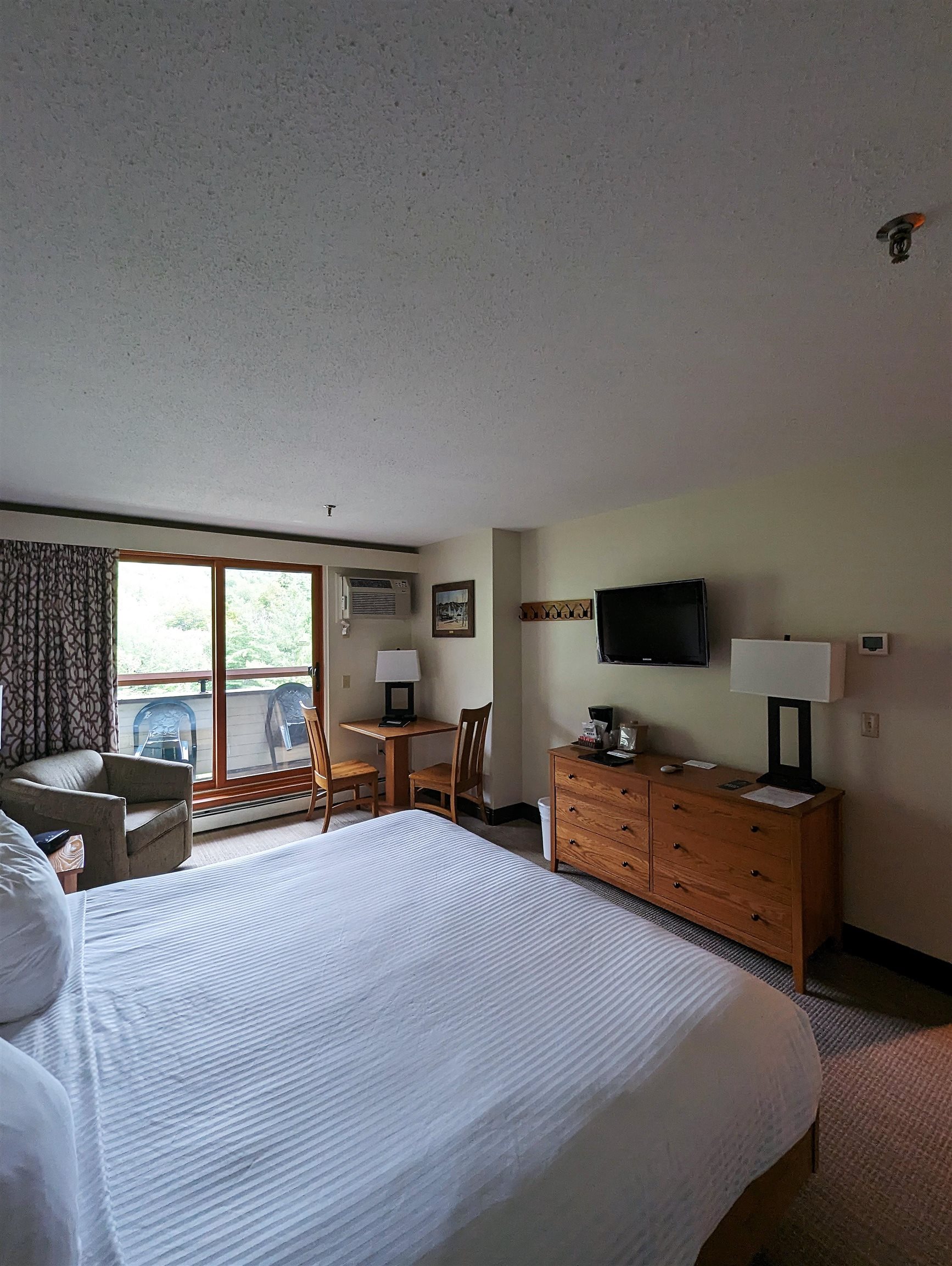 90 Loon Mountain Road Property Photo 4