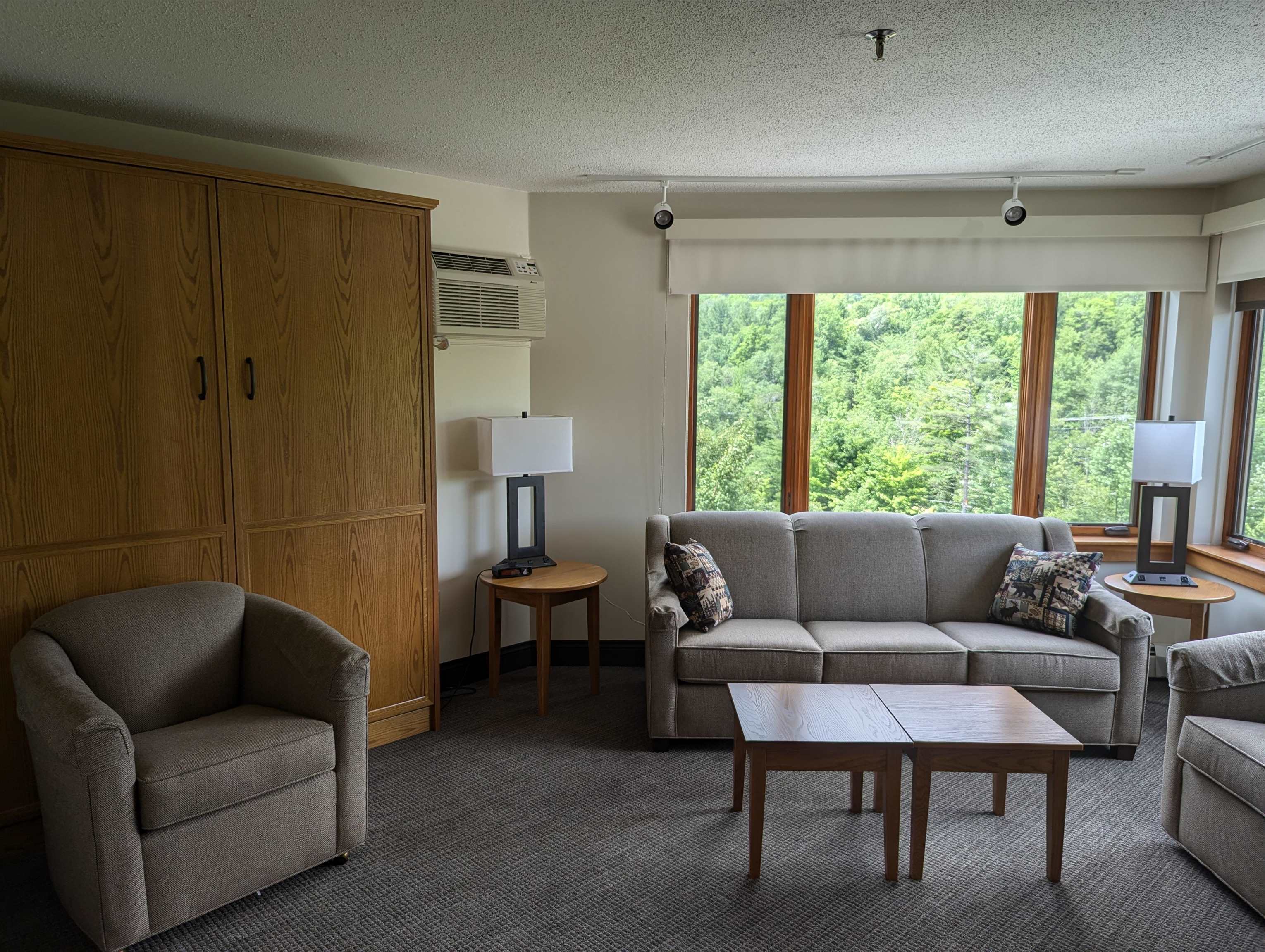 90 Loon Mountain Road Property Photo 13