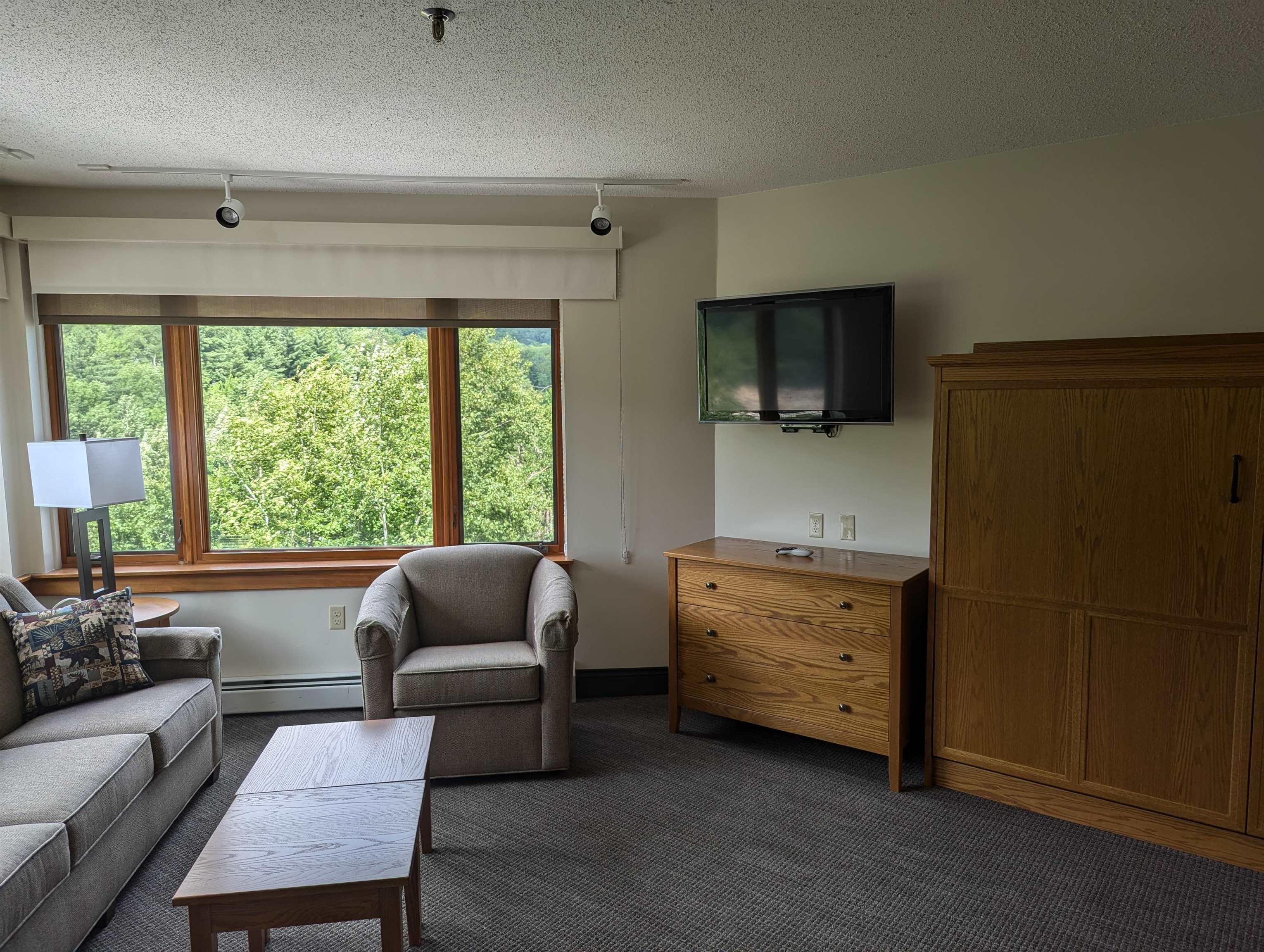 90 Loon Mountain Road Property Photo 14
