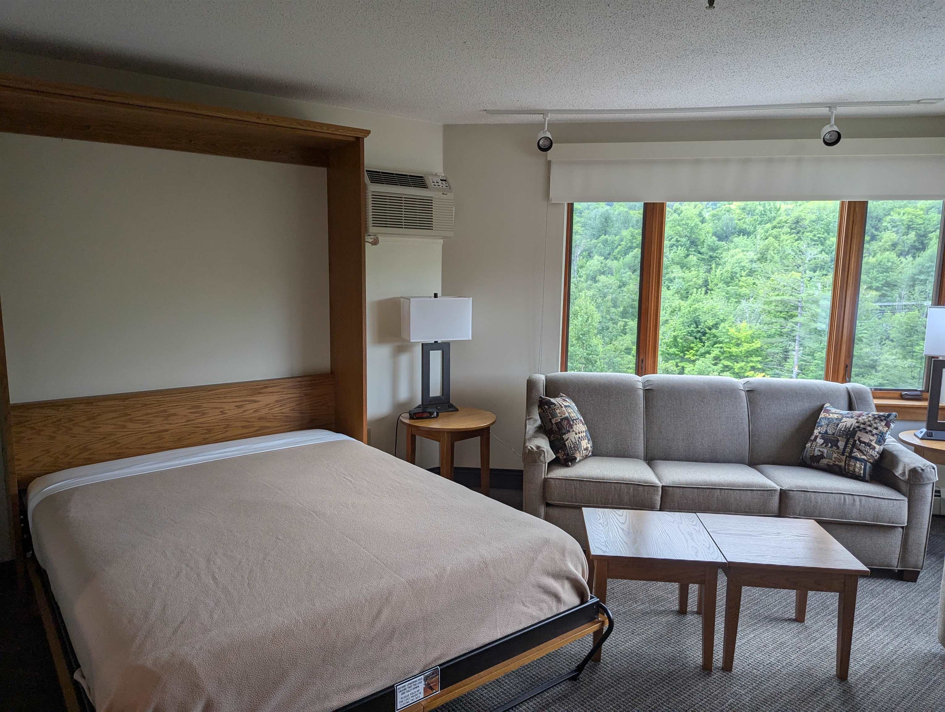 90 Loon Mountain Road Property Photo 16