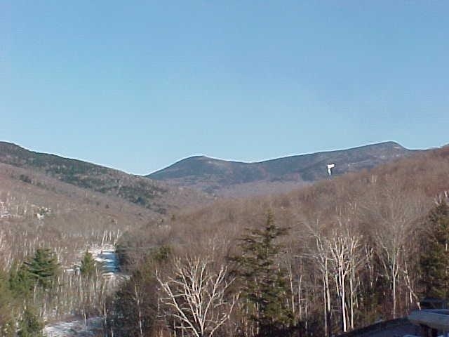 90 Loon Mountain Road Property Photo 20