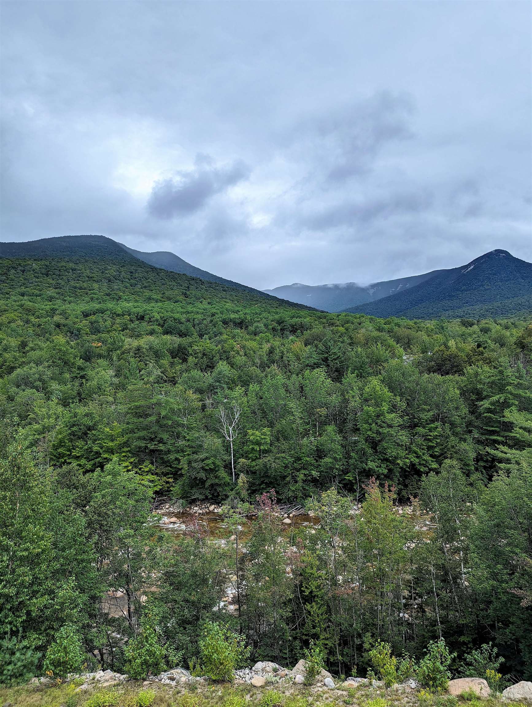 90 Loon Mountain Road Property Photo 21