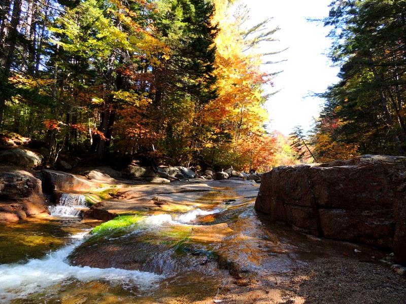 90 Loon Mountain Road Property Photo 37