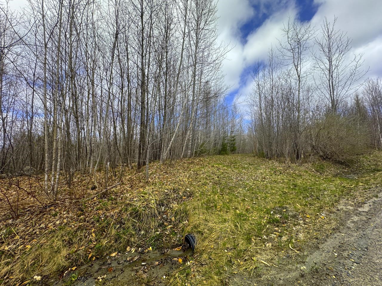 0 Burke Green Road Property Photo 11