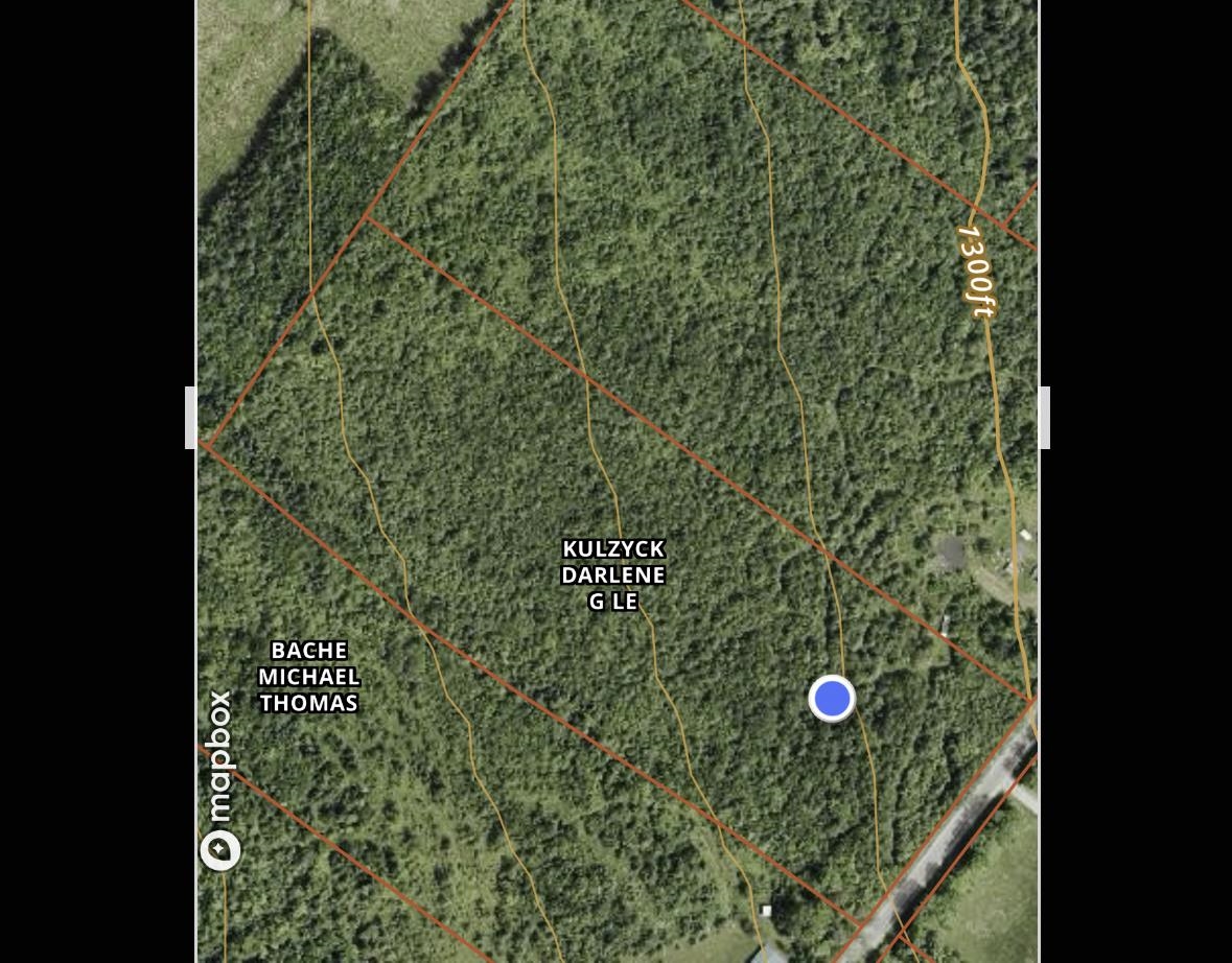 0 Burke Green Road Property Photo 16