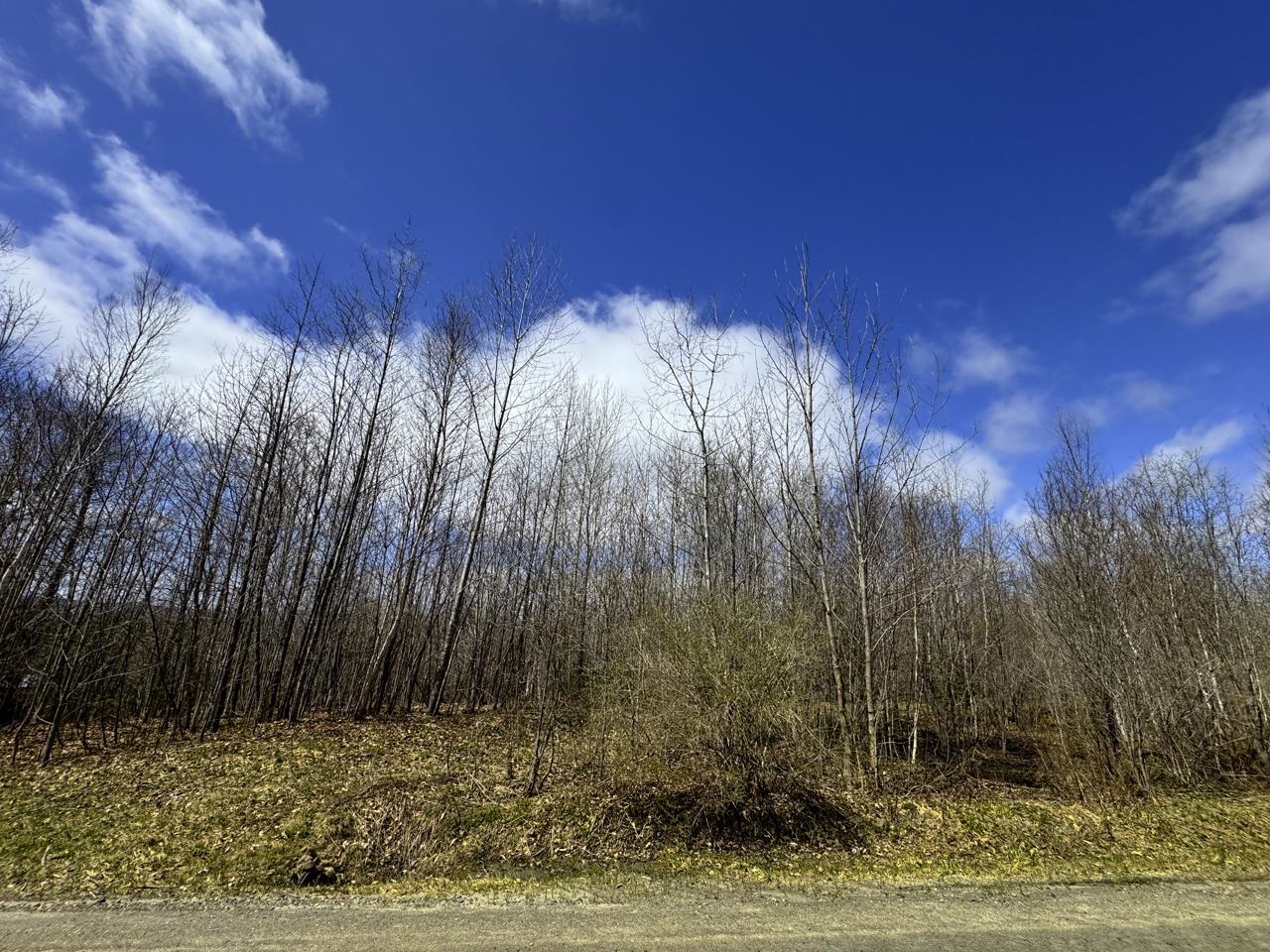 0 Burke Green Road Property Photo 17