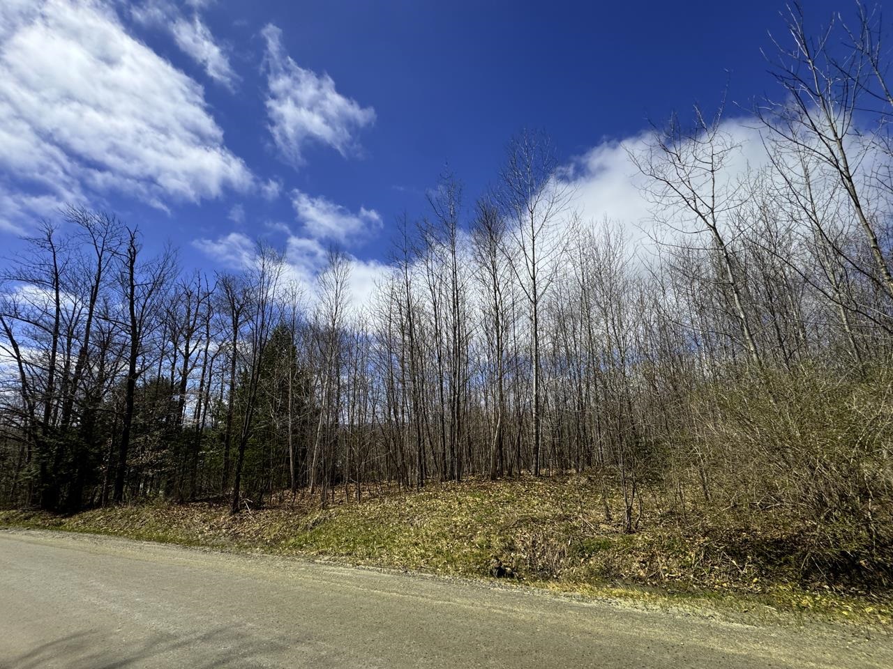 0 Burke Green Road Property Photo 18