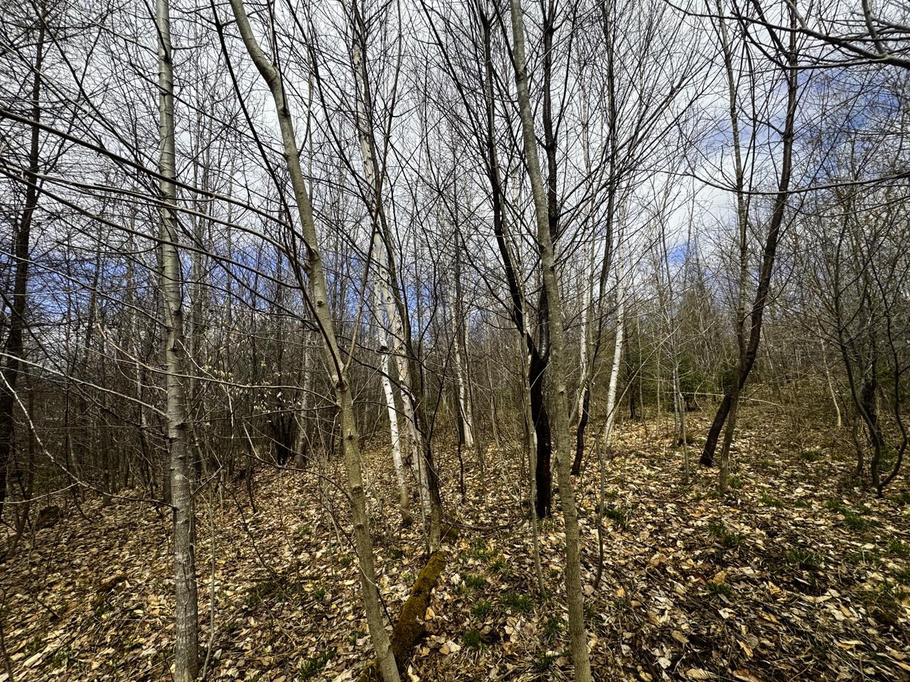 0 Burke Green Road Property Photo 35