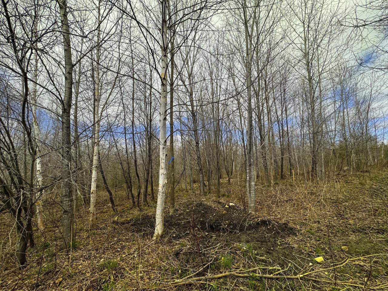 0 Burke Green Road Property Photo 39
