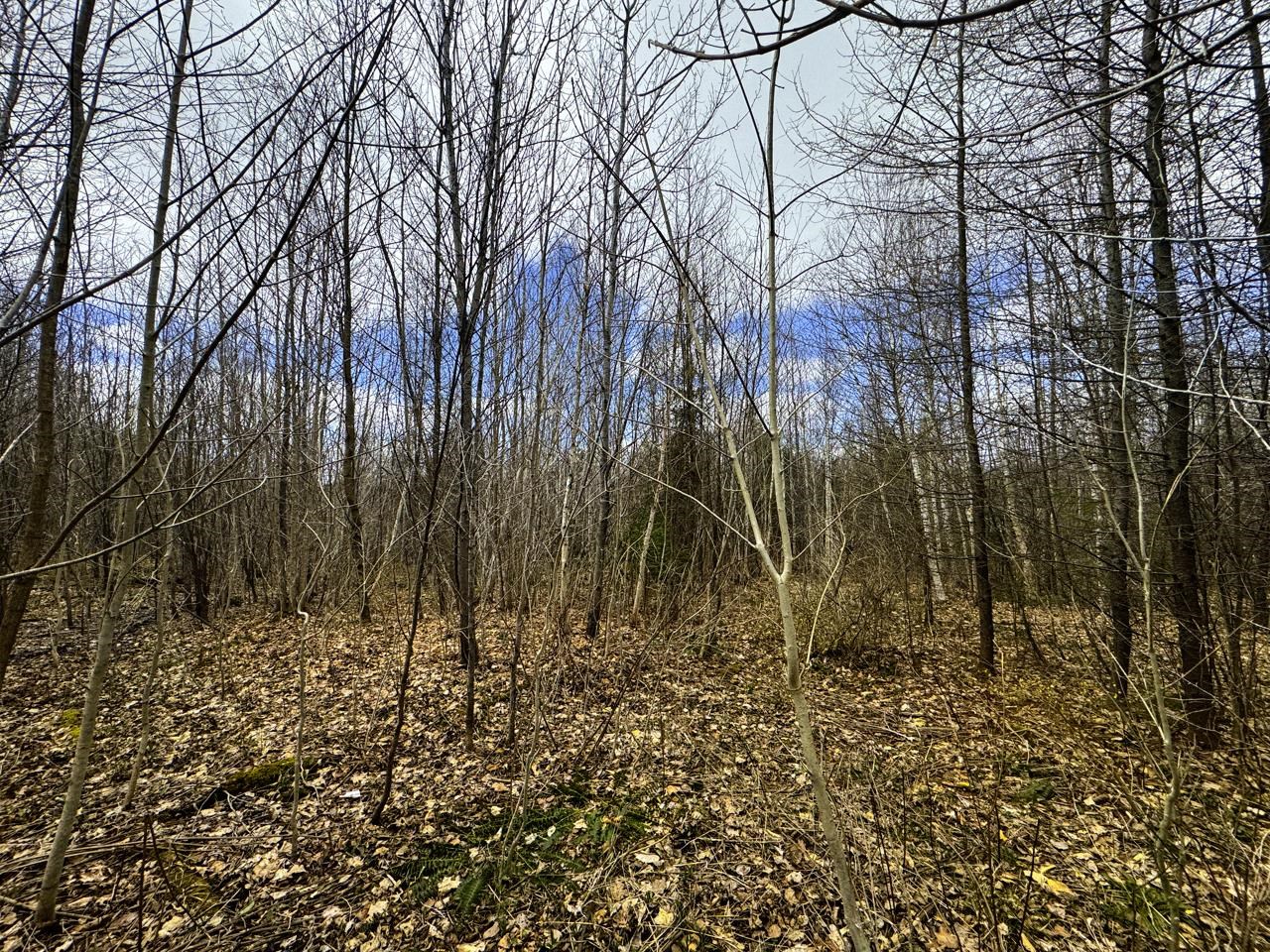 0 Burke Green Road Property Photo 39