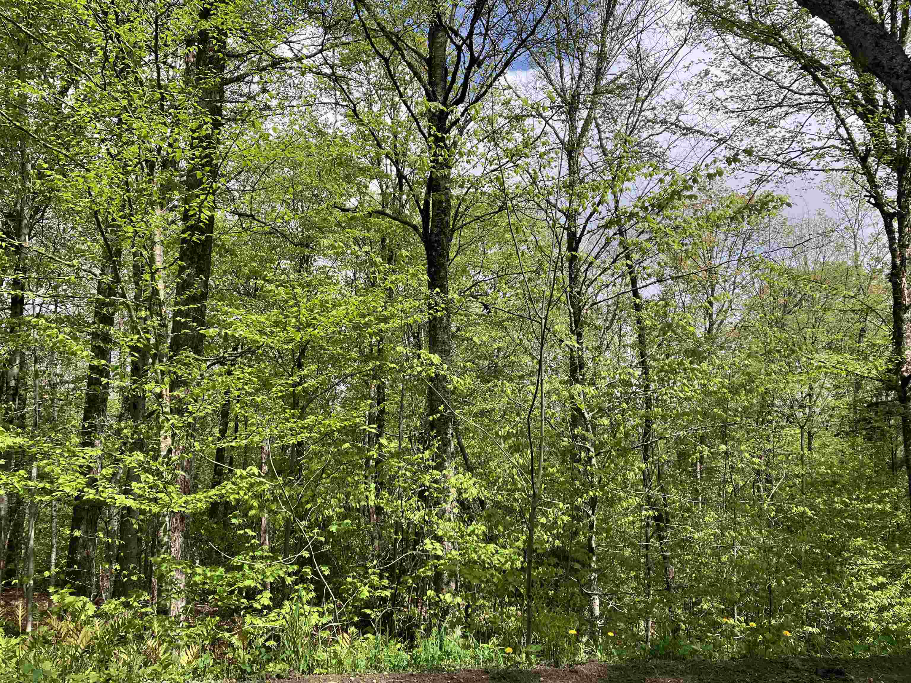 Big Bend Loop Property Photo 1