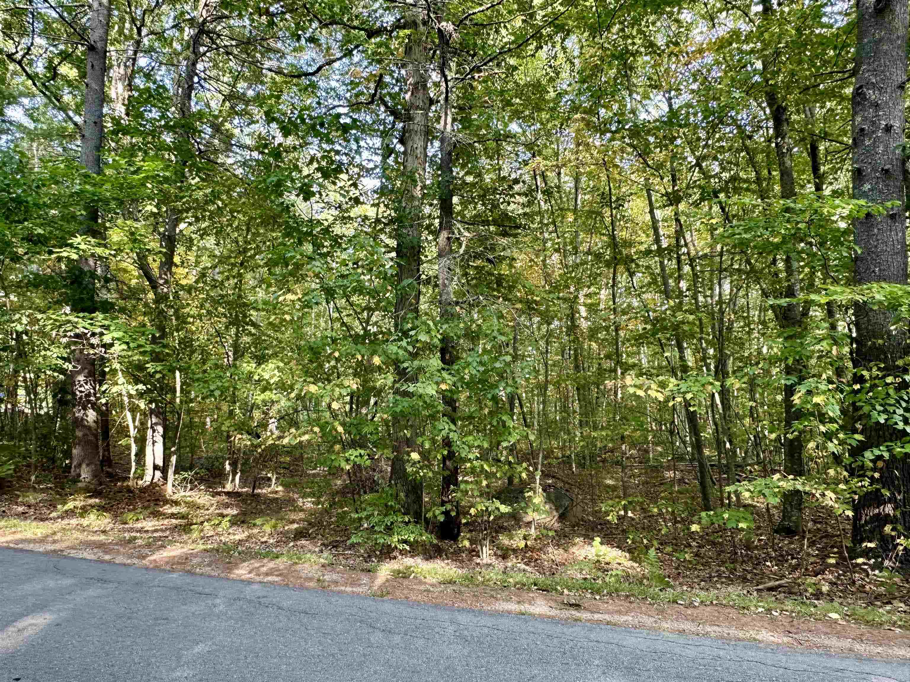 43 Otis Road Property Photo 1