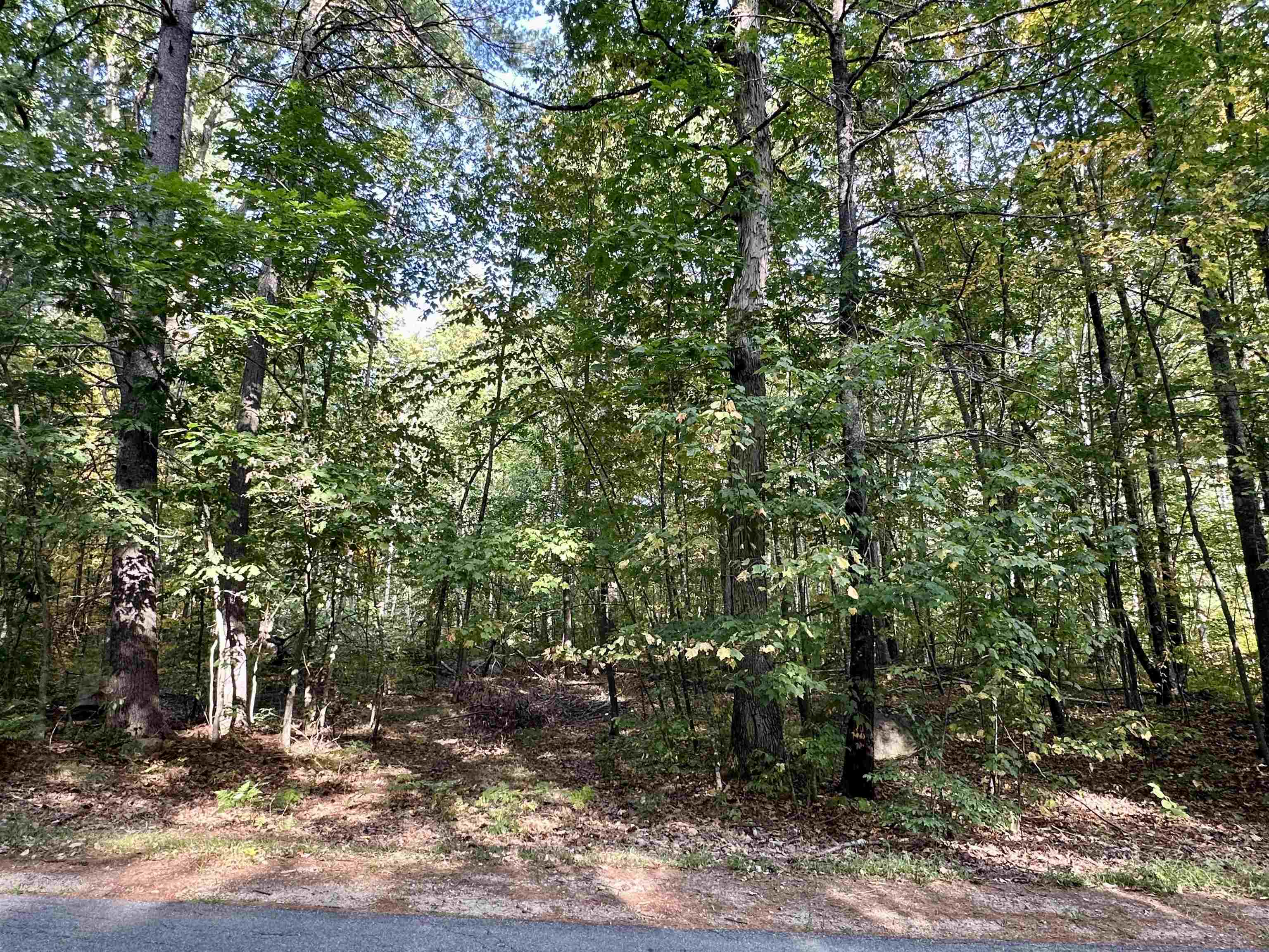 43 Otis Road Property Photo 2