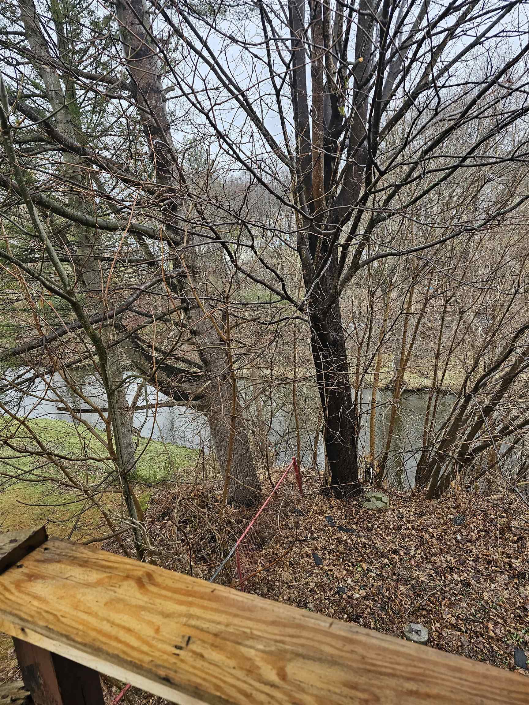 130 Morgan Street Property Photo 12