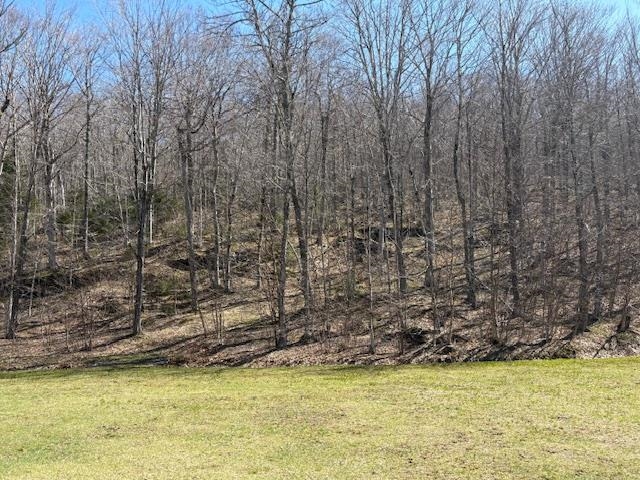 0 Walker Hill Road Property Photo 9