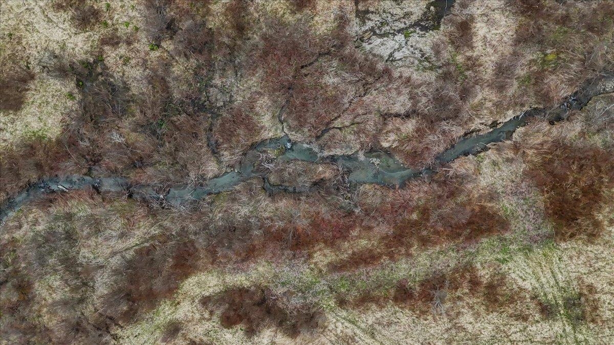 6847 Vermont Route 122 Property Photo 27