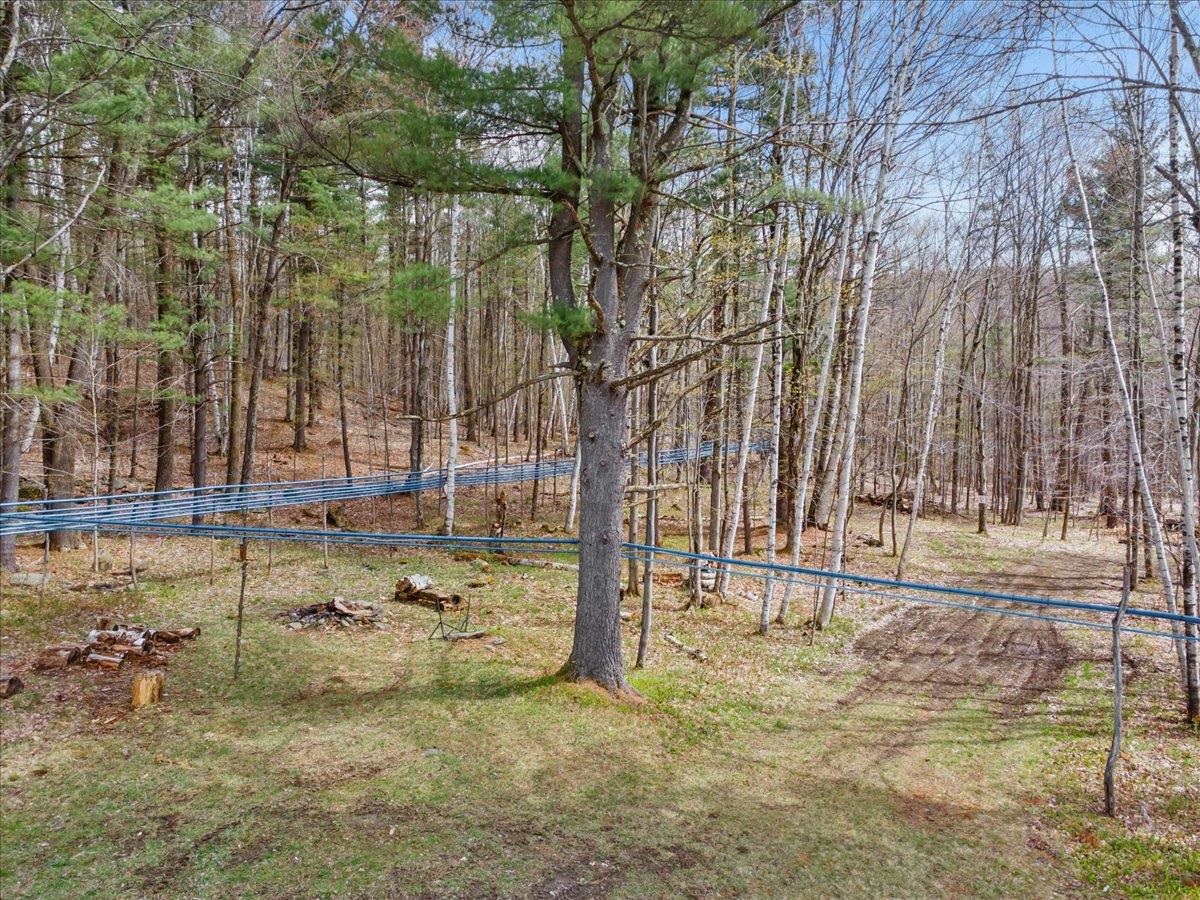22 Rubaud Road Property Photo 43
