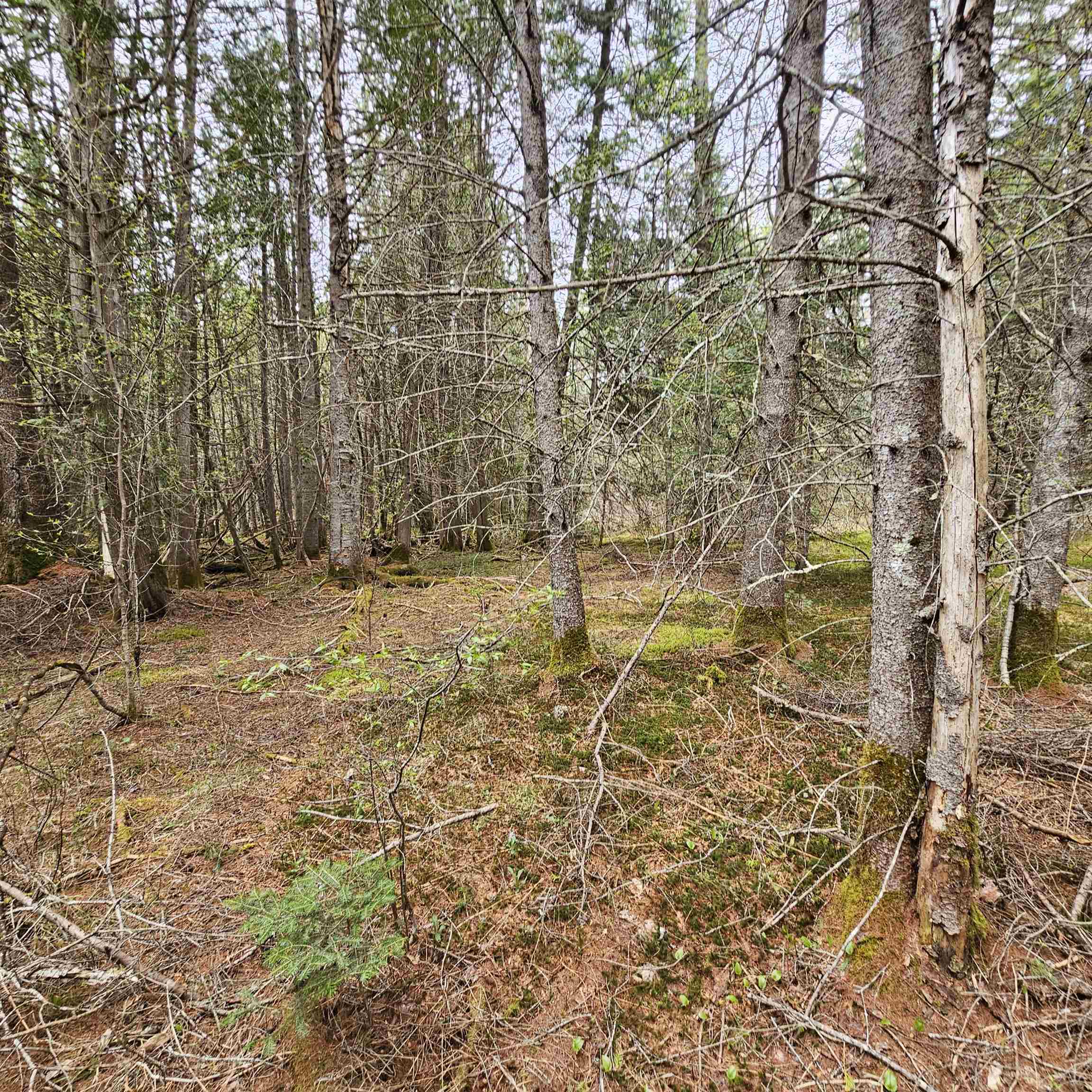 3839 Us Route 5 Property Photo 1