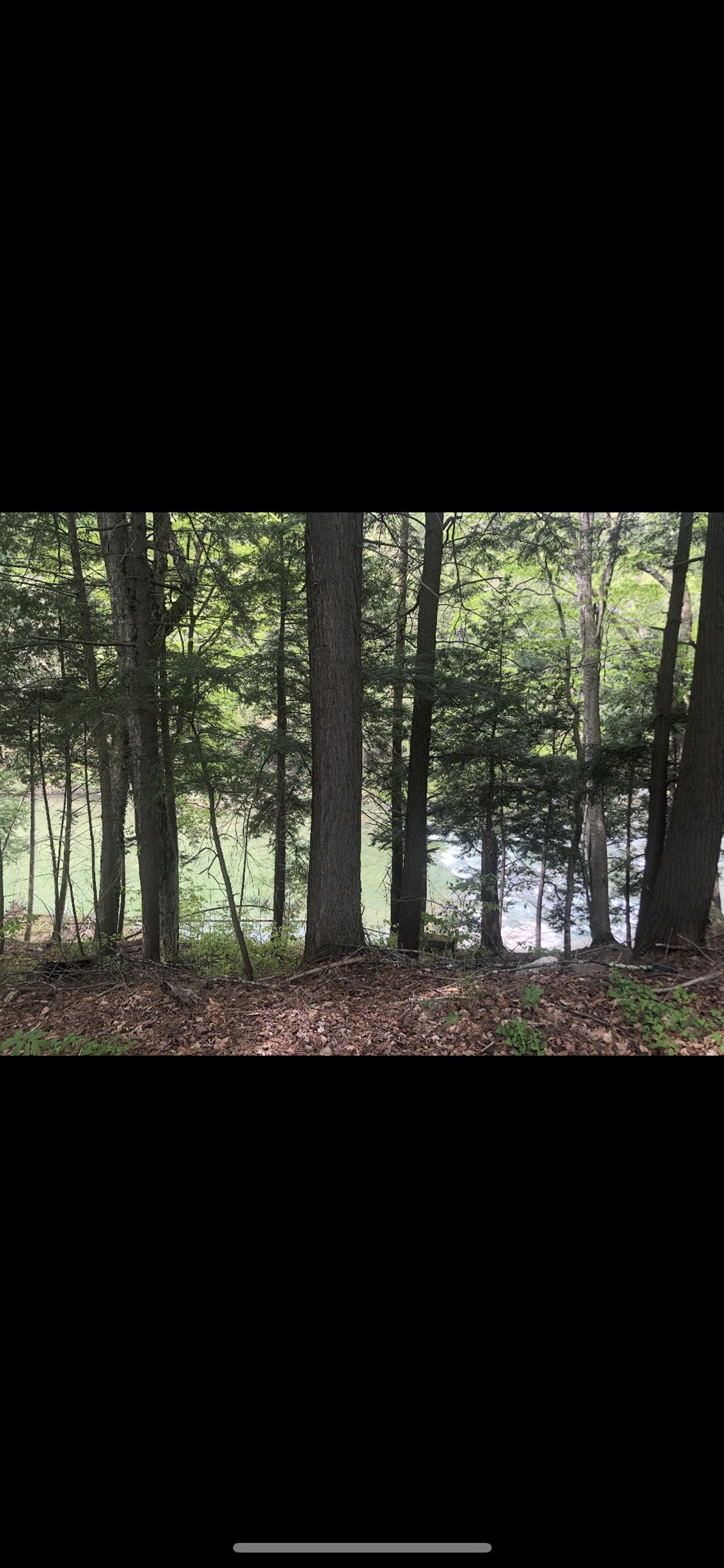 2903 Vt Route 107 Property Photo 42