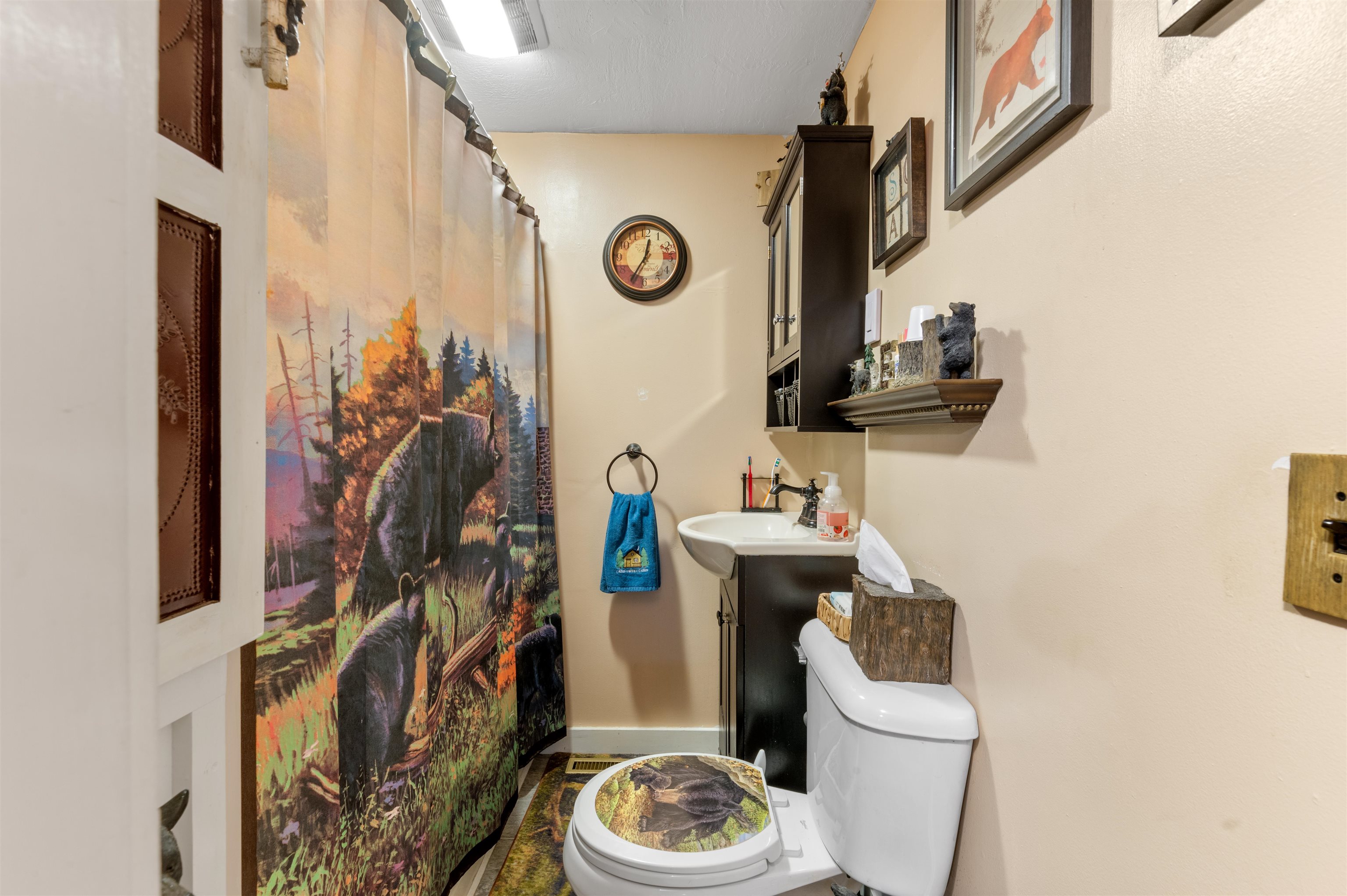 408 Albert Road Property Photo 14