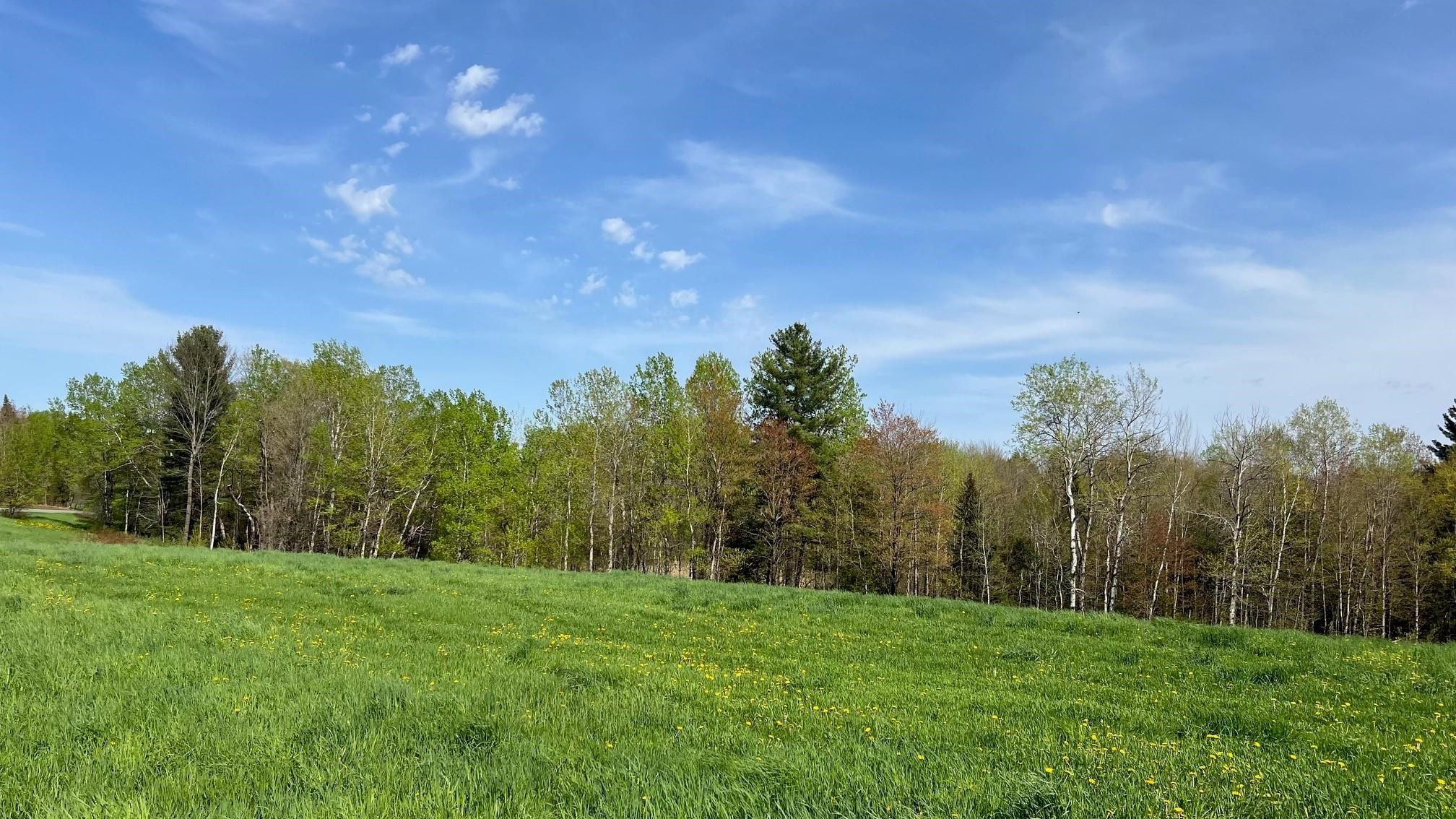 0 Shattuck Hill Property Photo 10