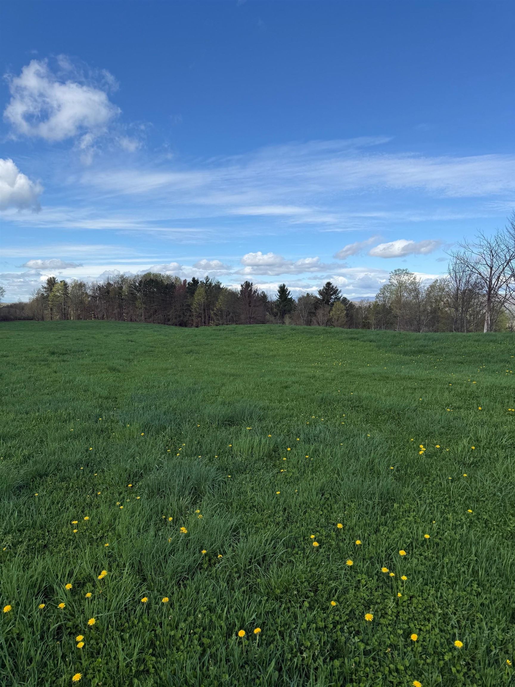 0 Shattuck Hill Property Photo 14