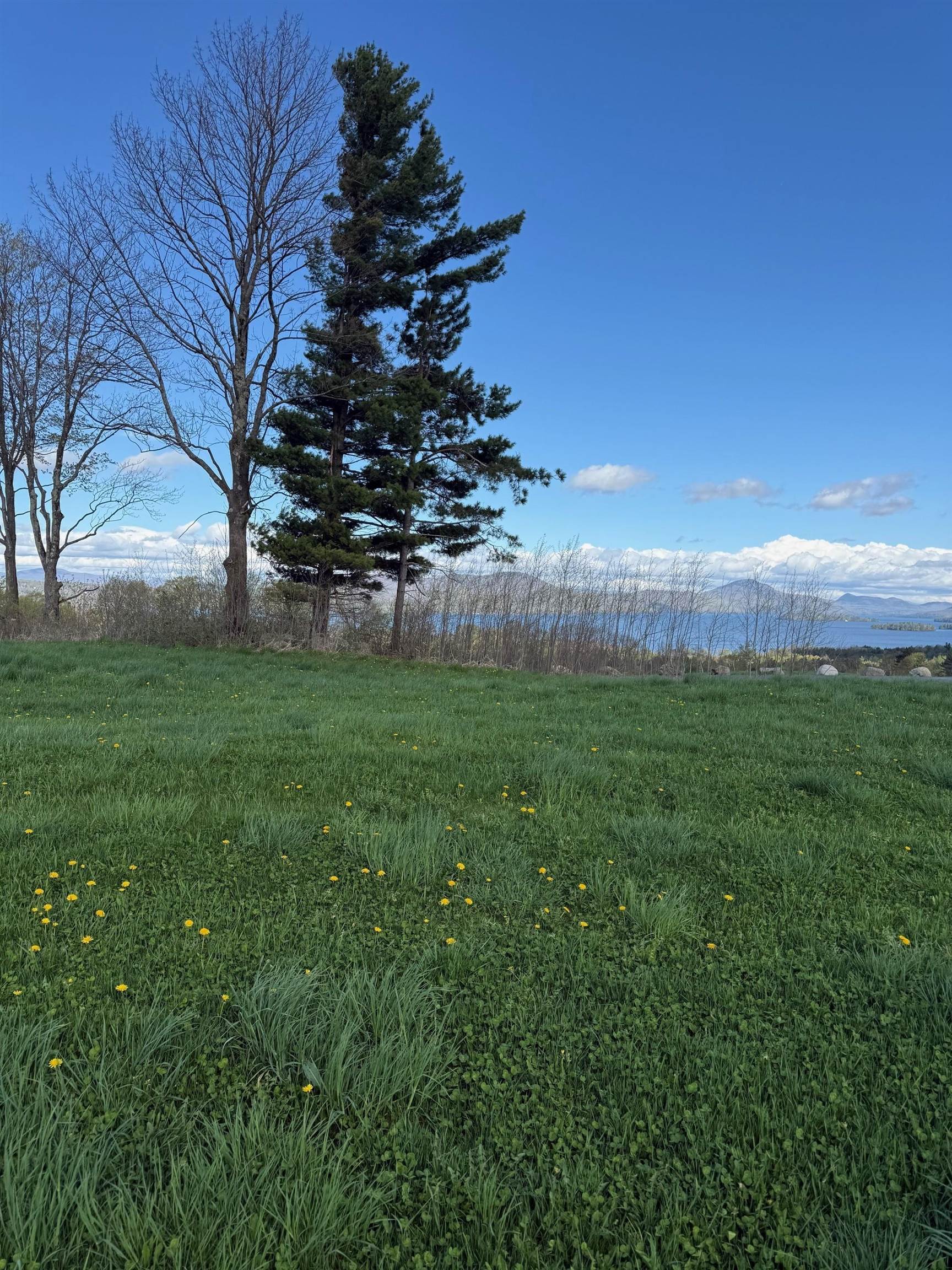 0 Shattuck Hill Property Photo 15