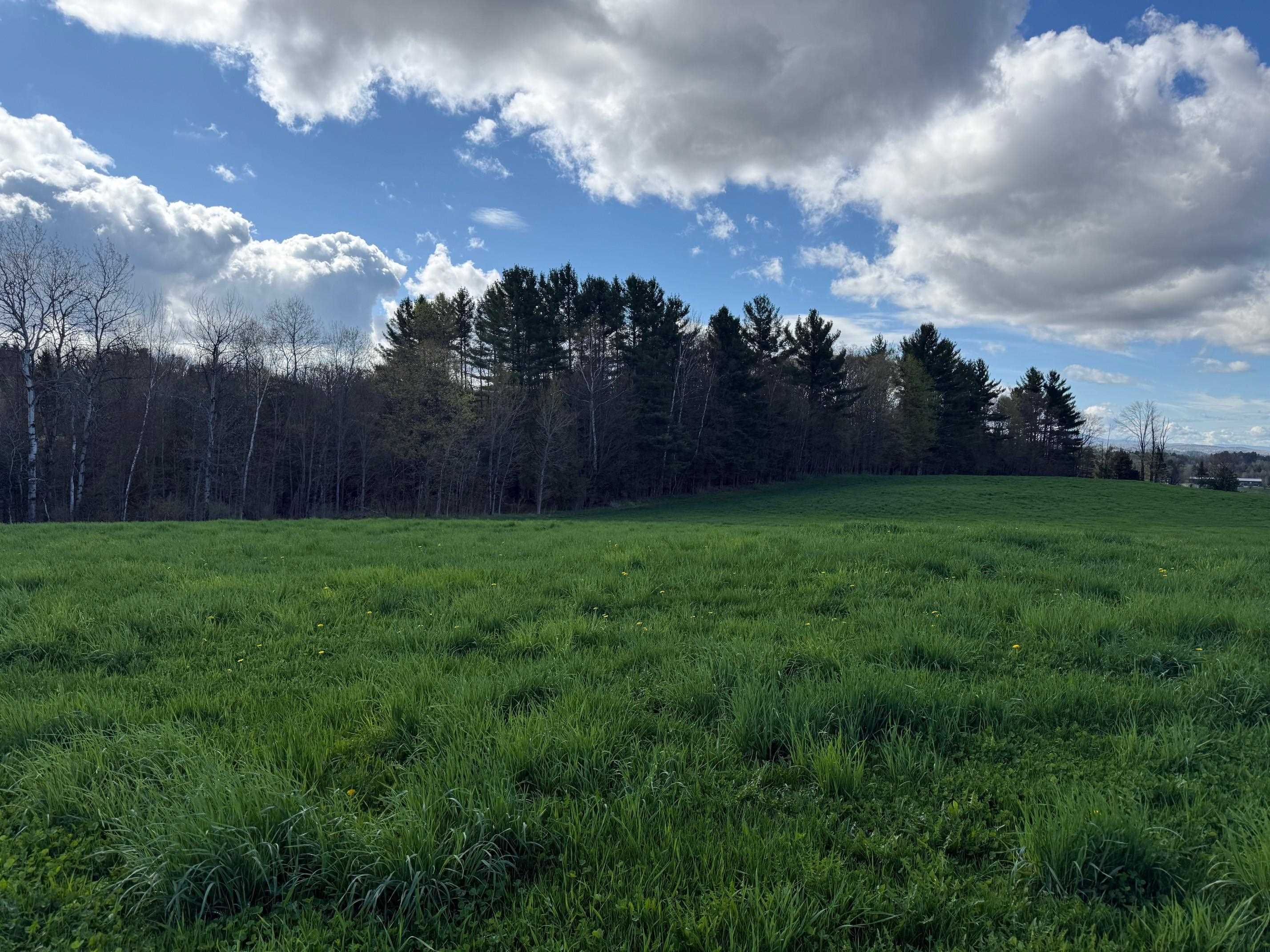 0 Shattuck Hill Property Photo 21