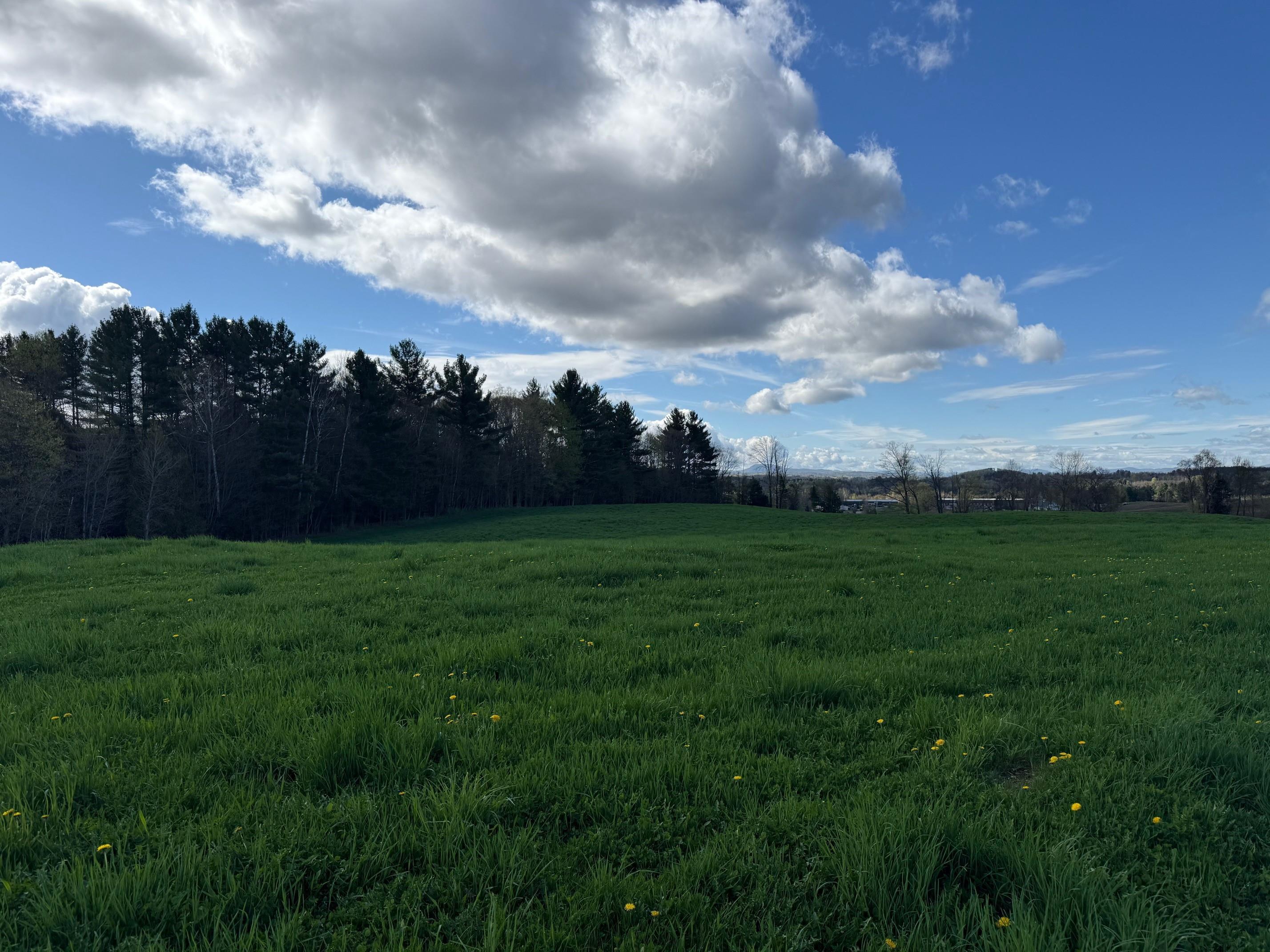 0 Shattuck Hill Property Photo 22