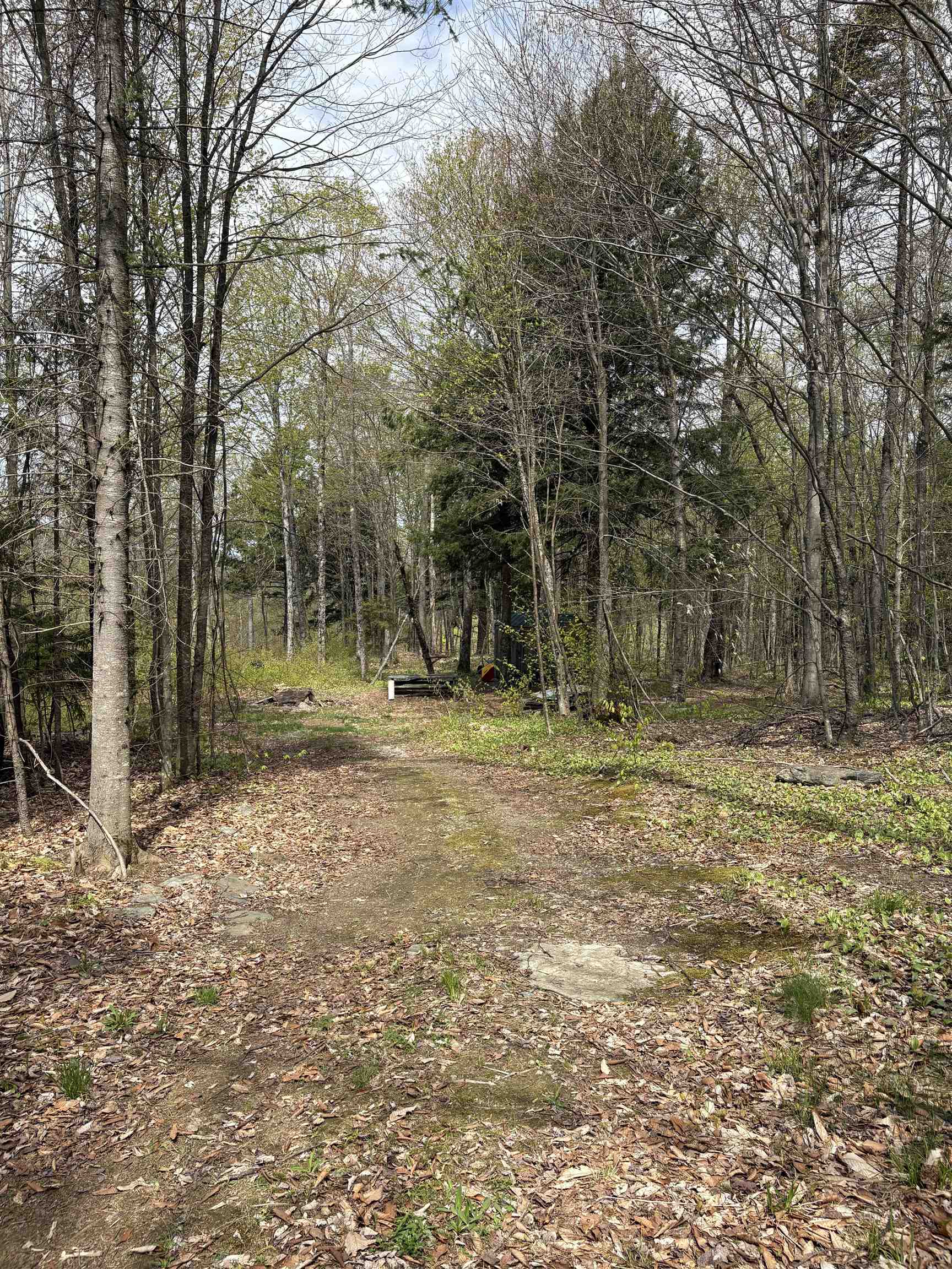825 Brookview Lane Property Photo 4