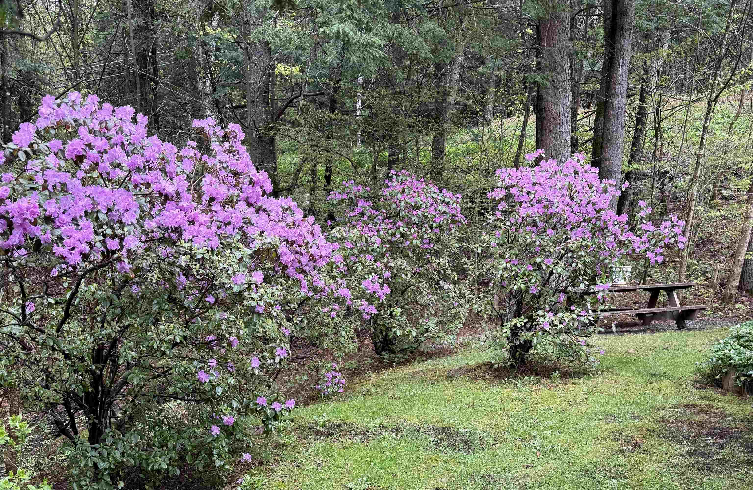 82 Hiram Atkins Byway Property Photo 13