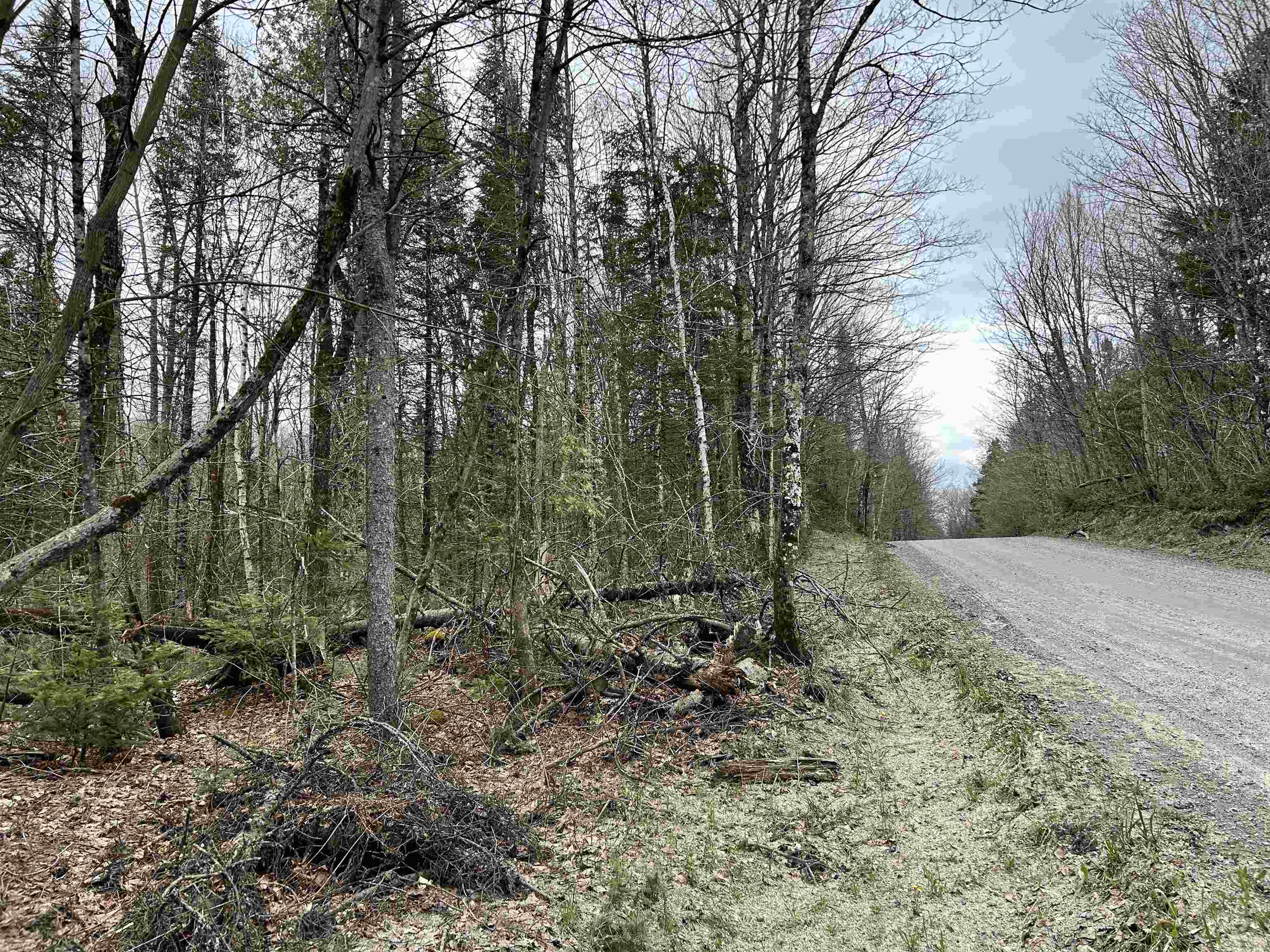 0 Andersonville Road Property Photo 3