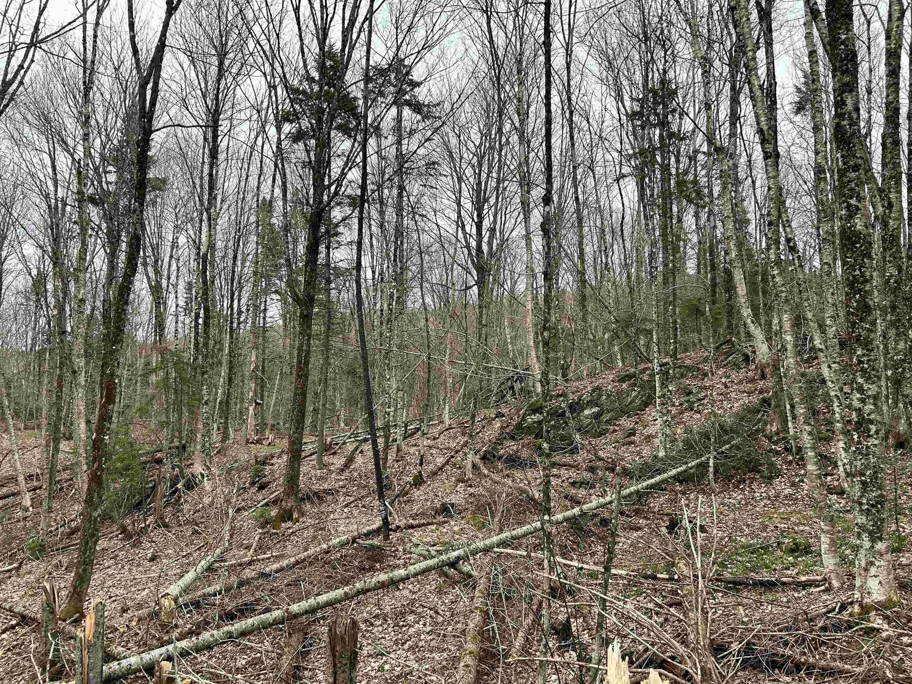 0 Andersonville Road Property Photo 5